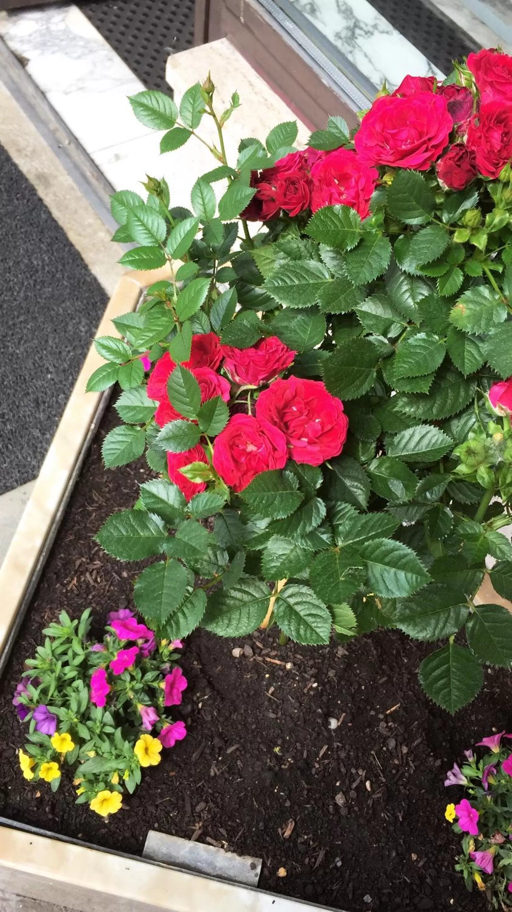 Other in Hotel Am Limes