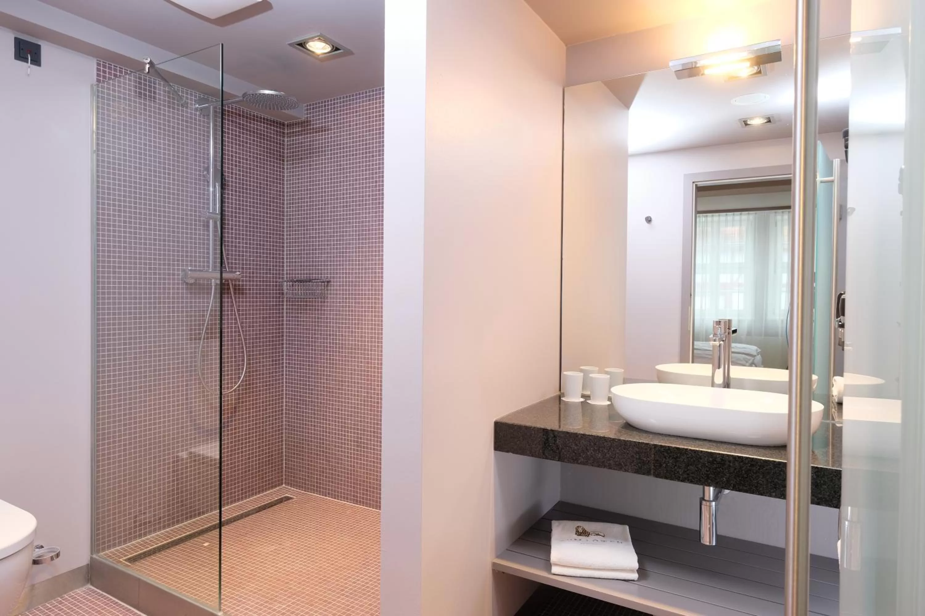 Shower in Zum Löwen Design Hotel Resort & Spa