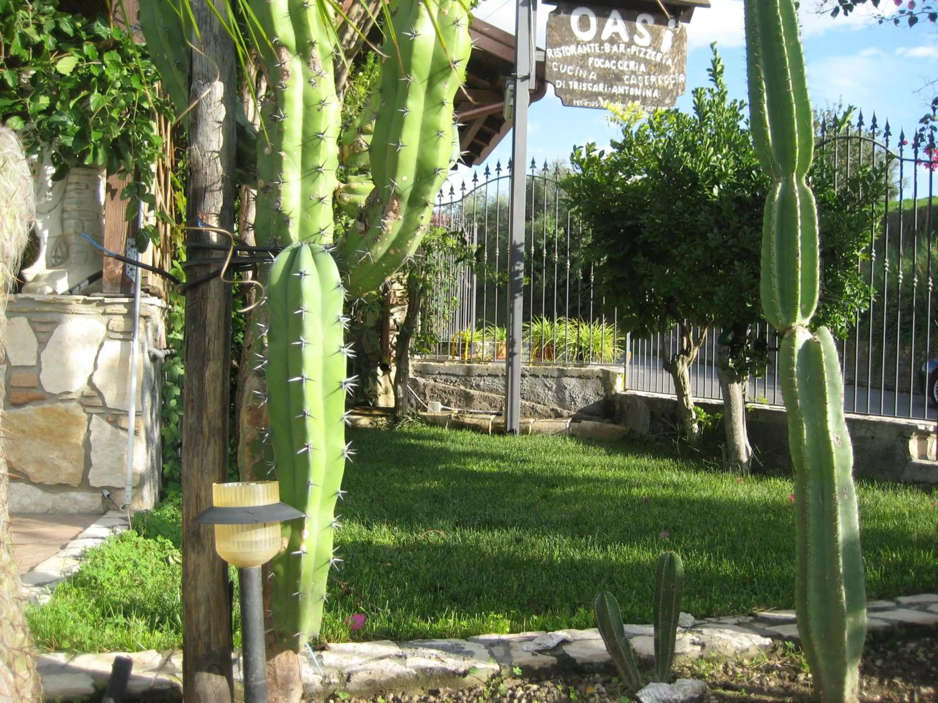 Garden in Oasi del Lago