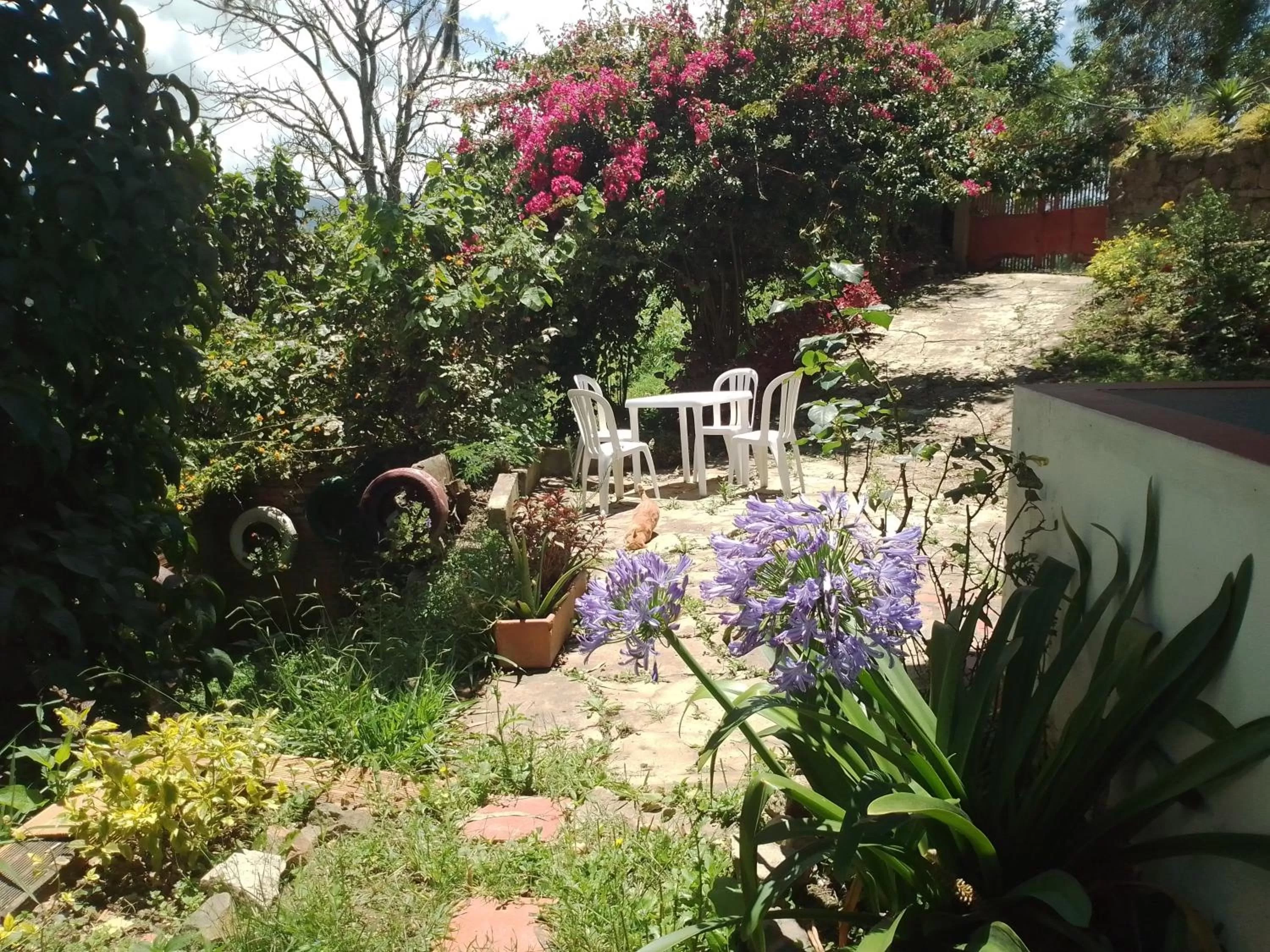 Patio, Swimming Pool in Finca Umnisa - Choachi