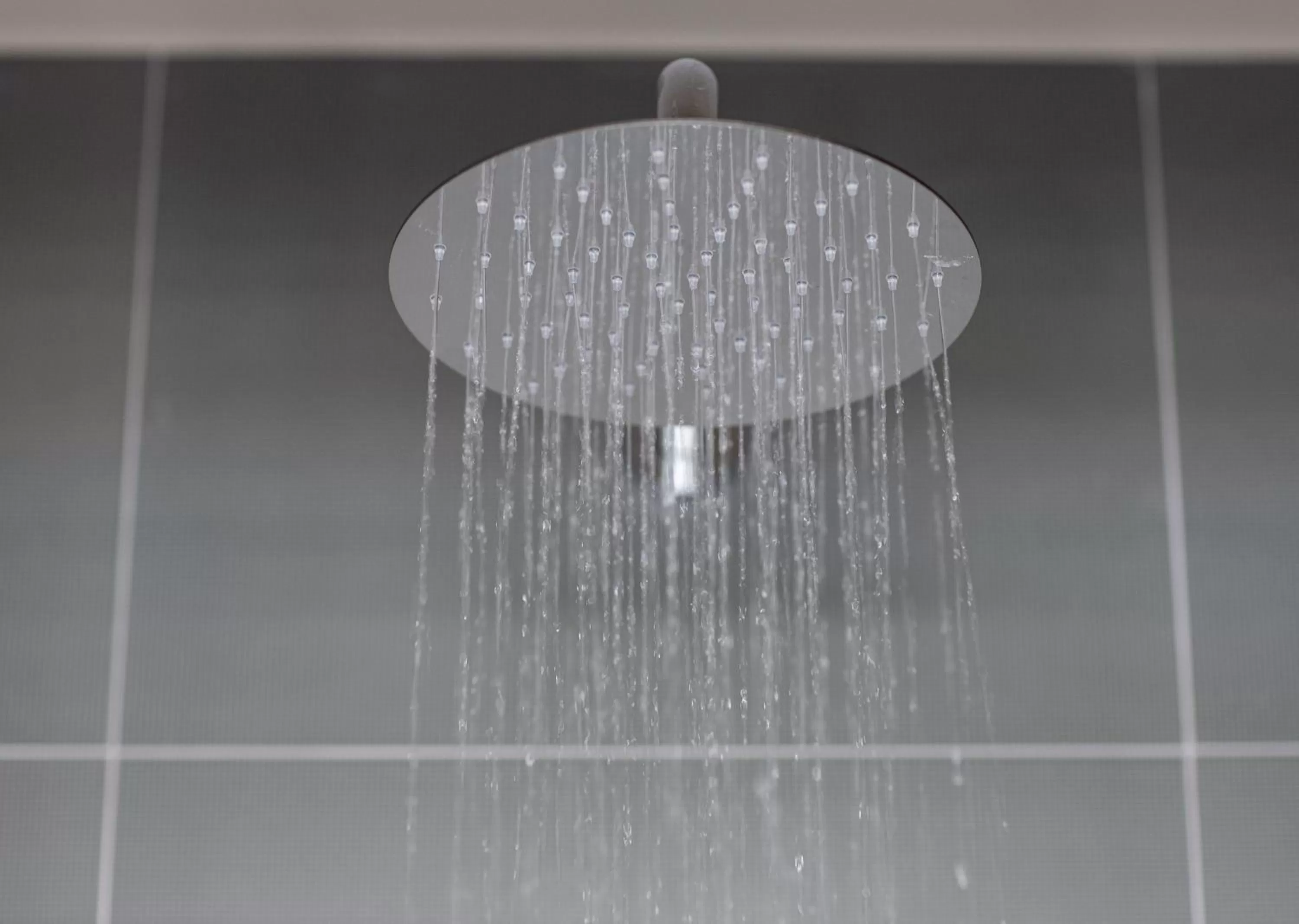 Luxury Suite in Hotel1875