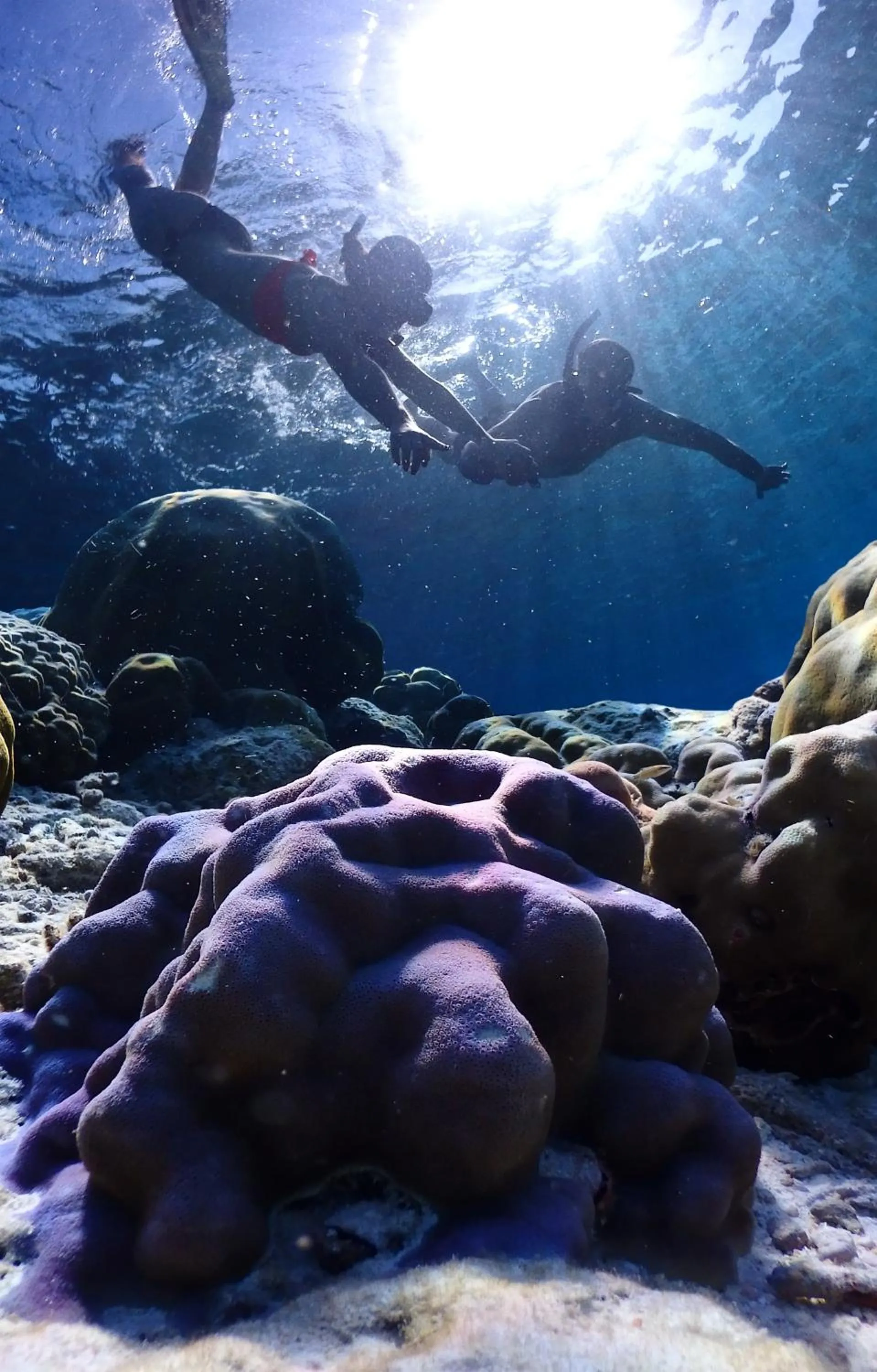 Snorkeling in Pimalai Resort & Spa