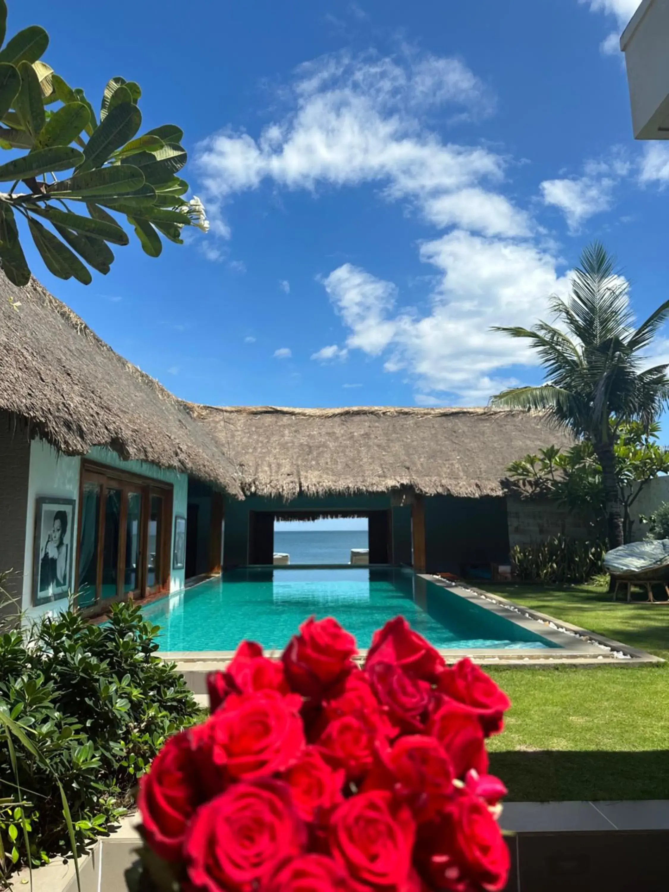 Green Organic Villas Green Organic Villas