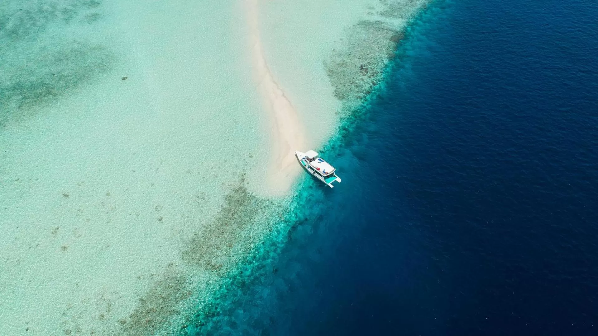 Bird's eye view in Arena Beach Hotel