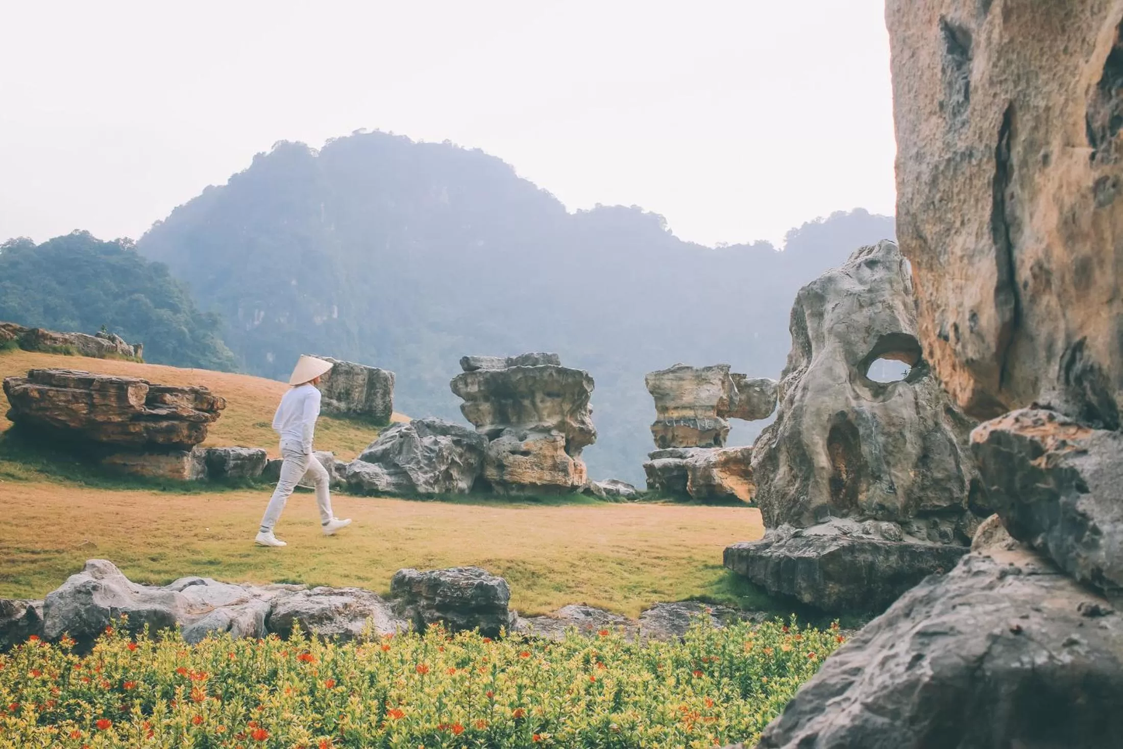 Natural landscape in Thung Nham Resort