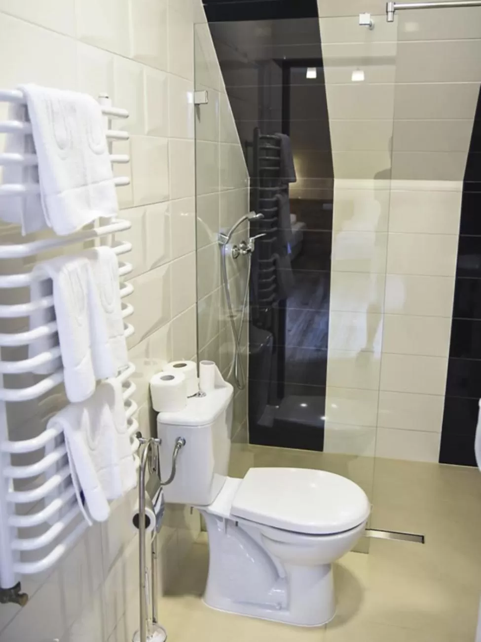 Shower, Bathroom in Willa Szczepaniakówka