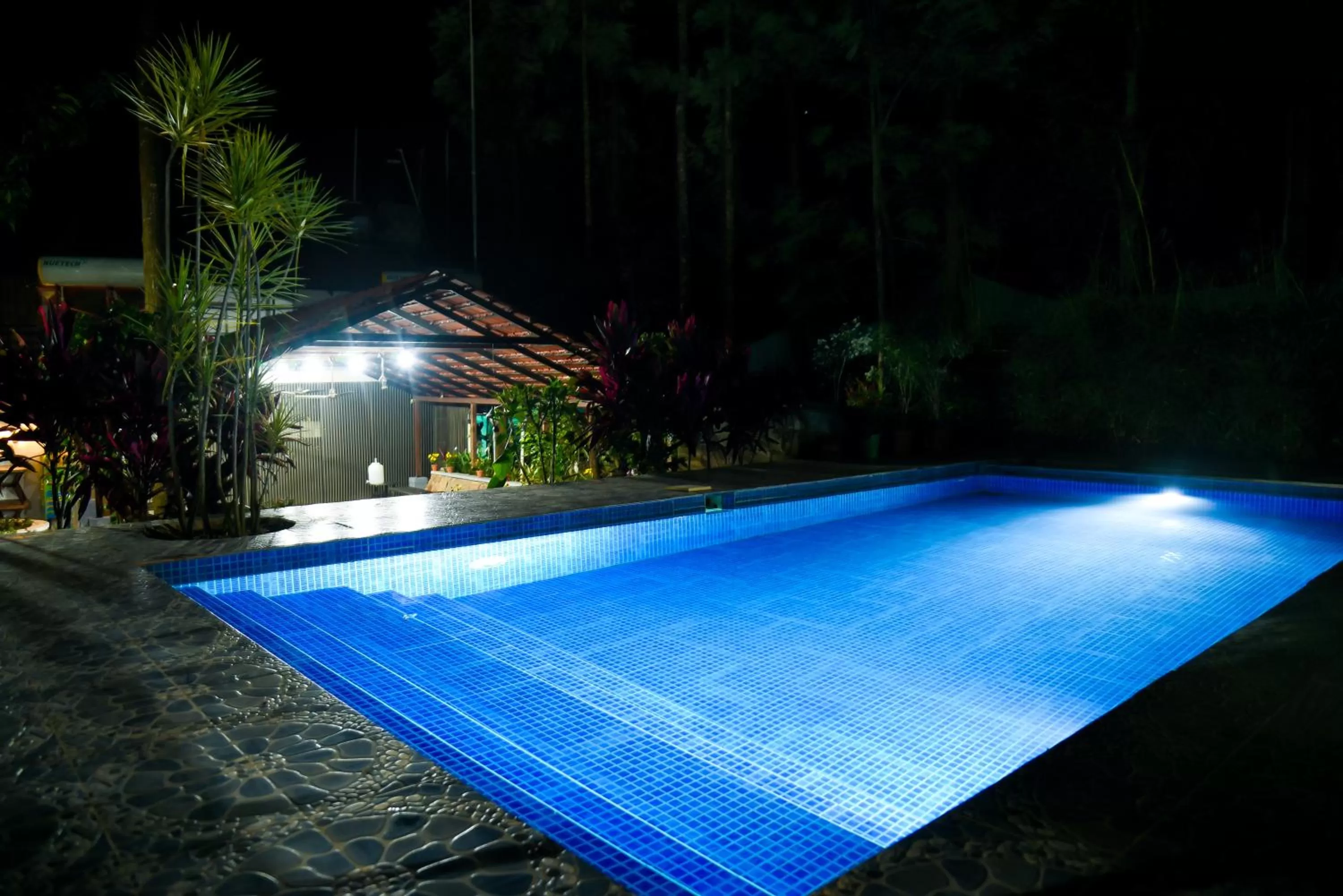 Swimming Pool in The Spectrum Resort, Chikmagalur