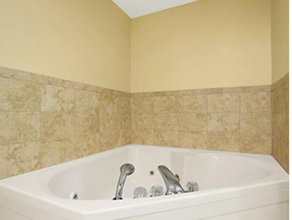 Deluxe King Room - Non-Smoking in Ramada Limited - Columbia