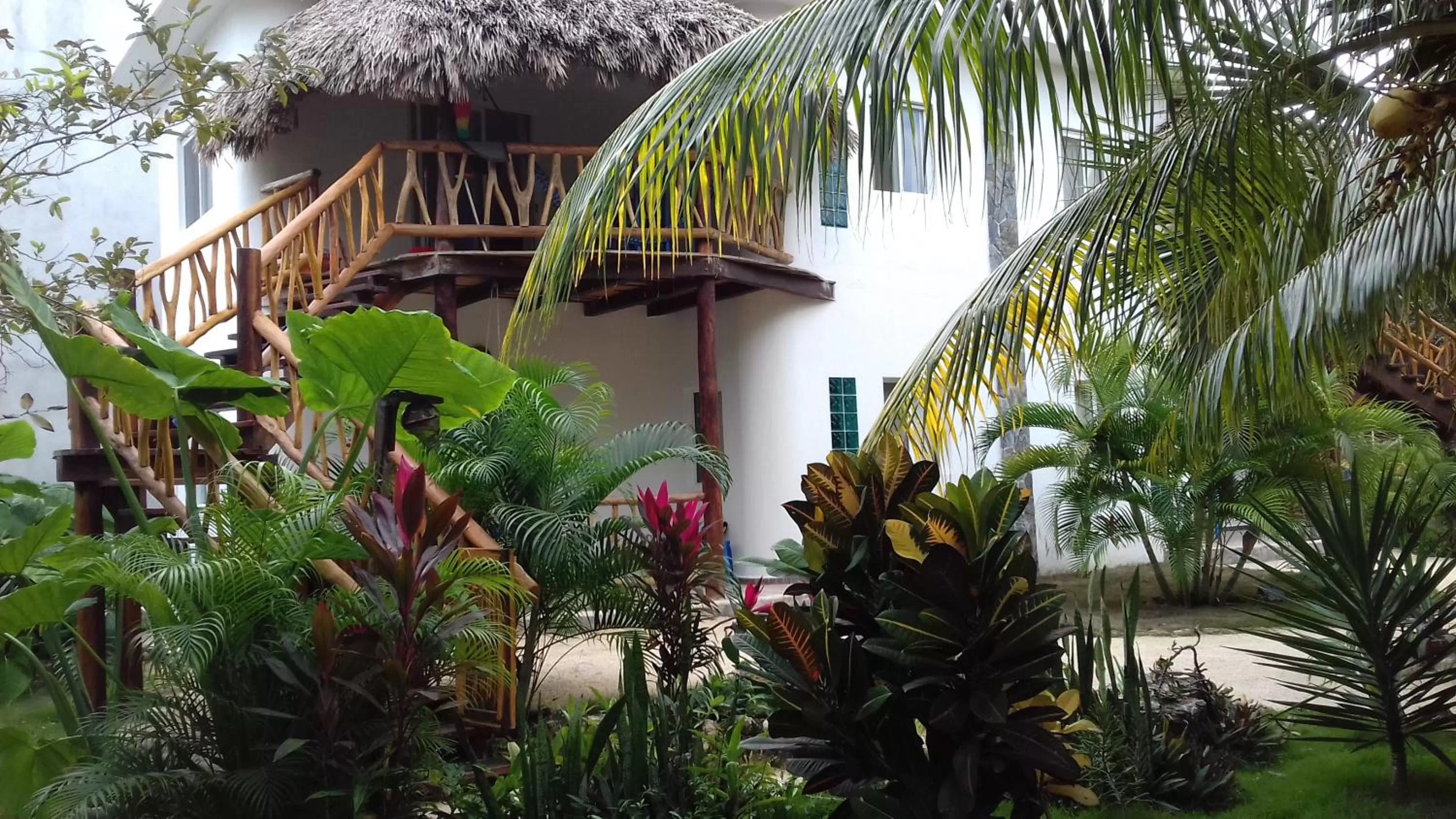 Garden in Zamunda Garden View