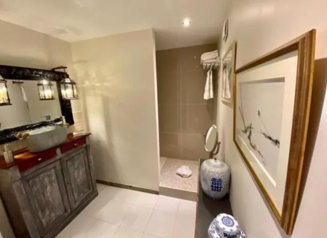 Bathroom in La cactée singulière