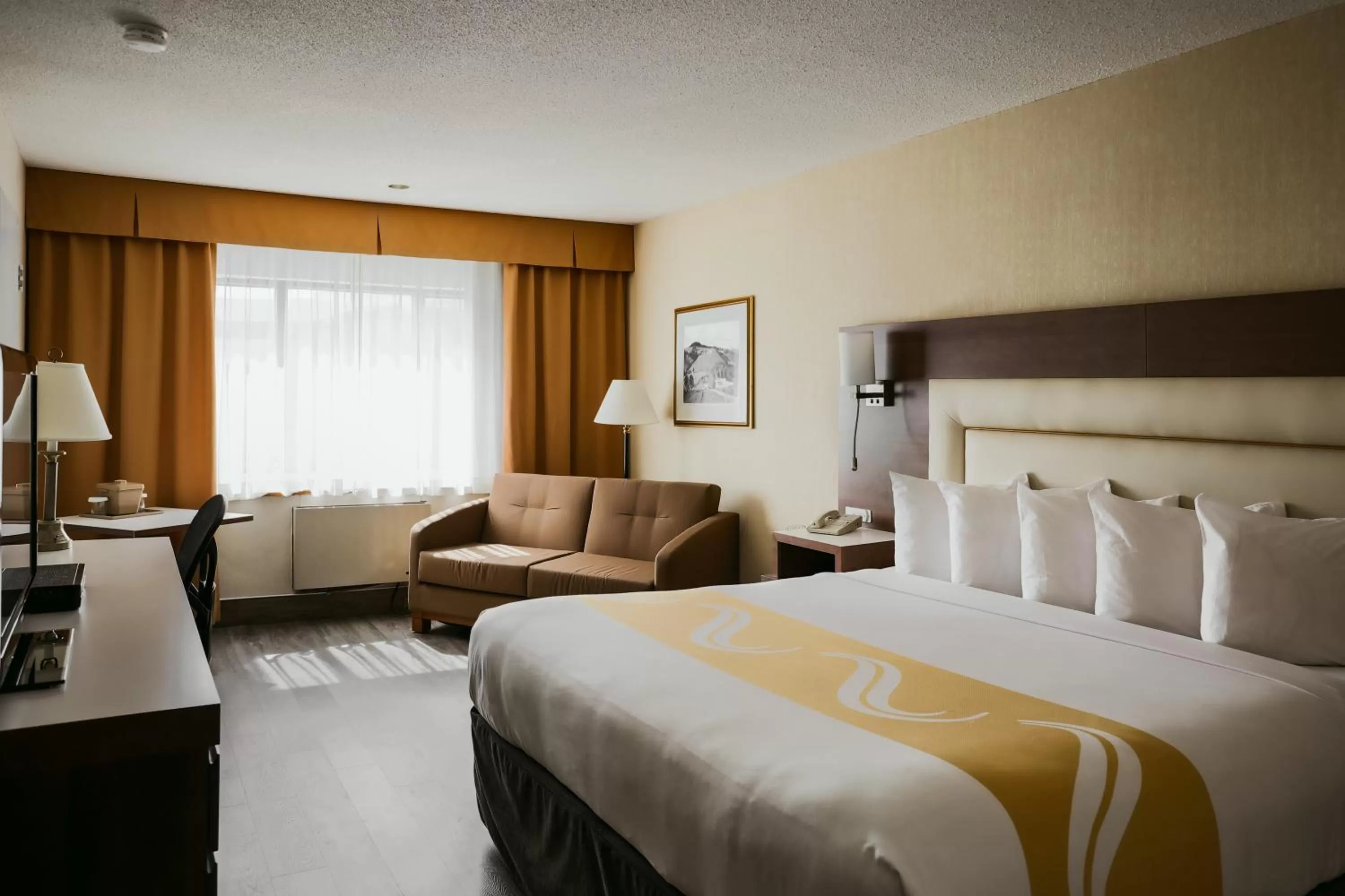 Photo of the whole room, Bed in Quality Inn & Suites