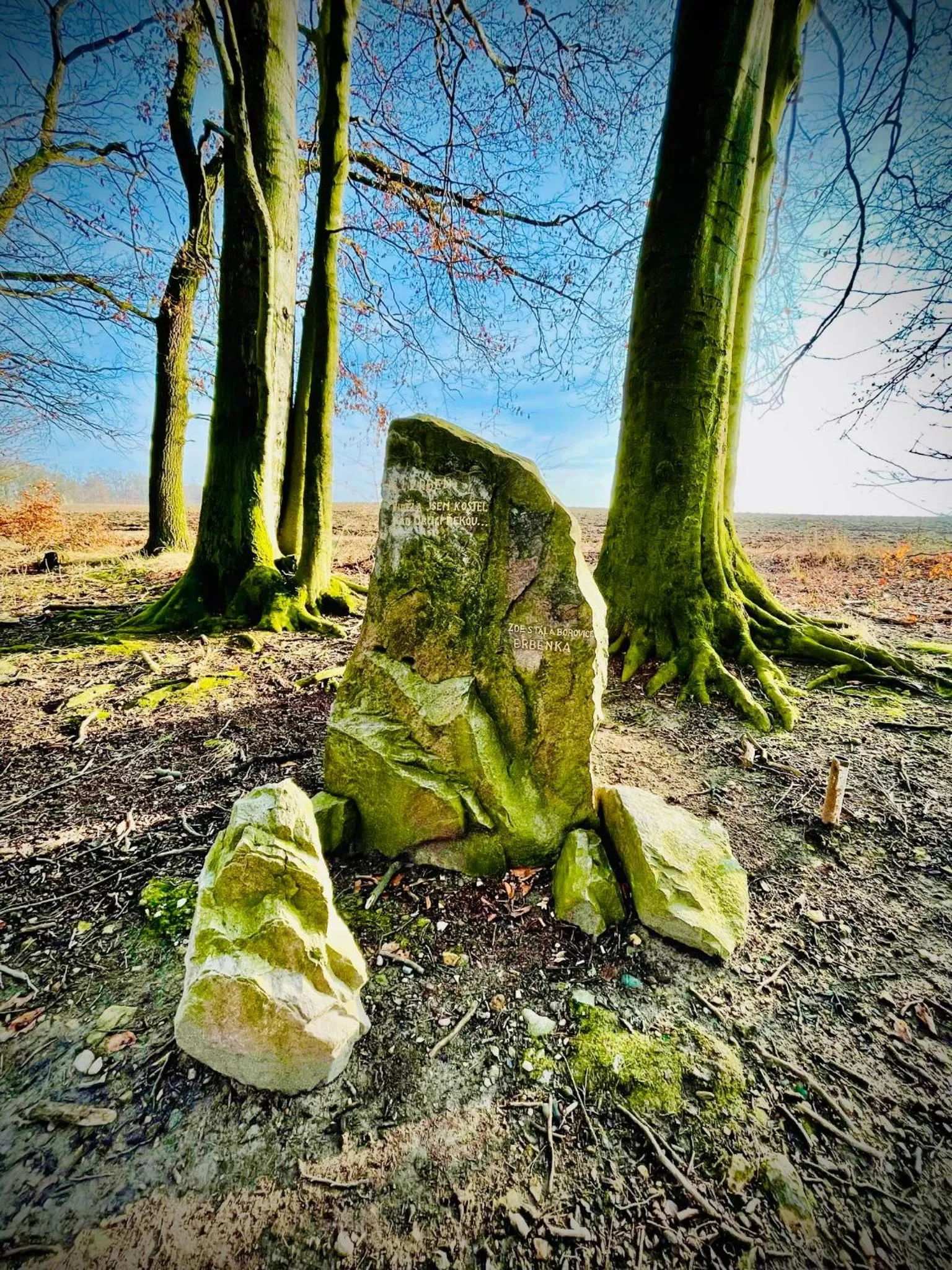 HARABURDI® Recyclart Hotel