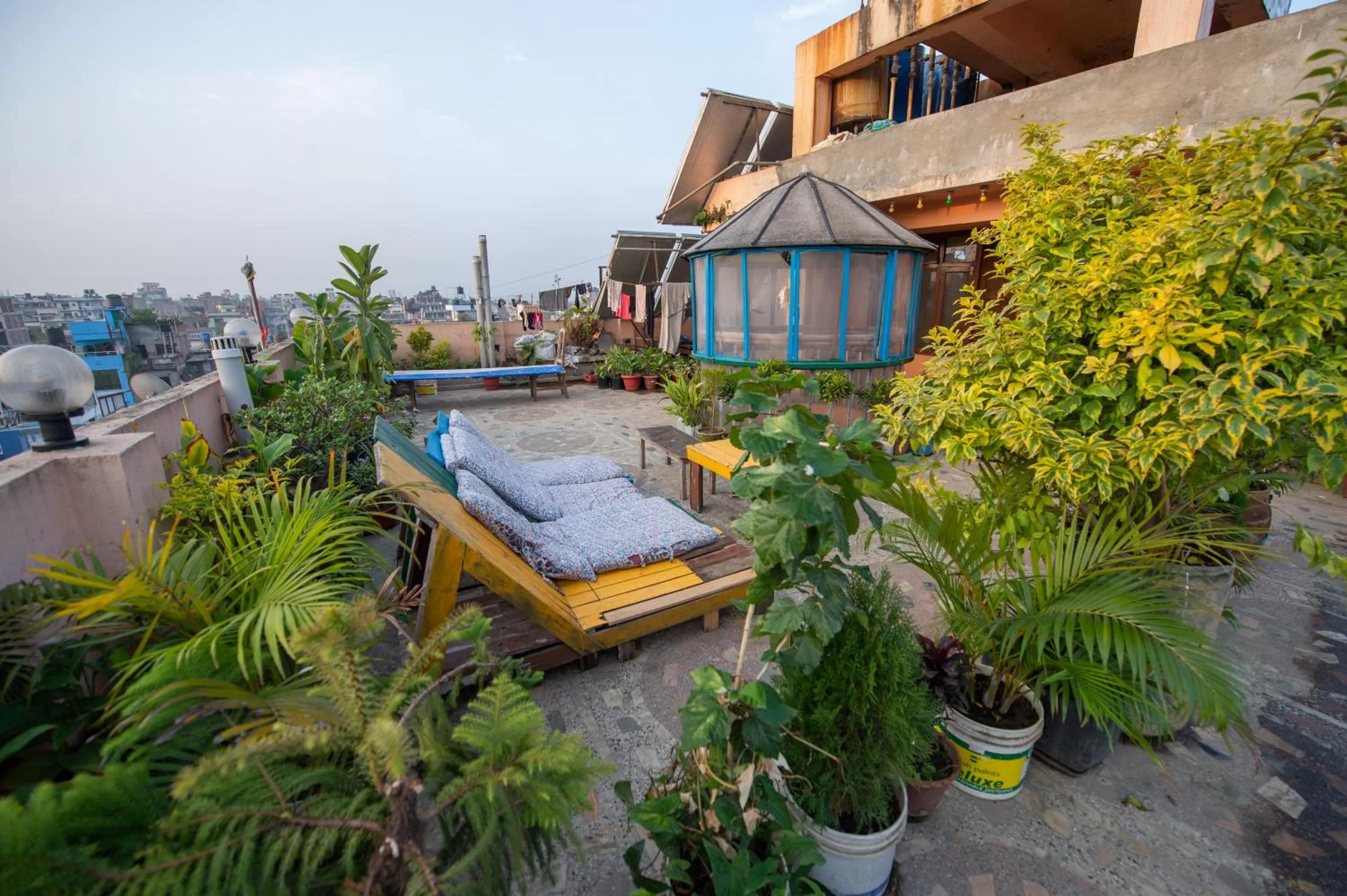 Garden in Hotel Pomelo House