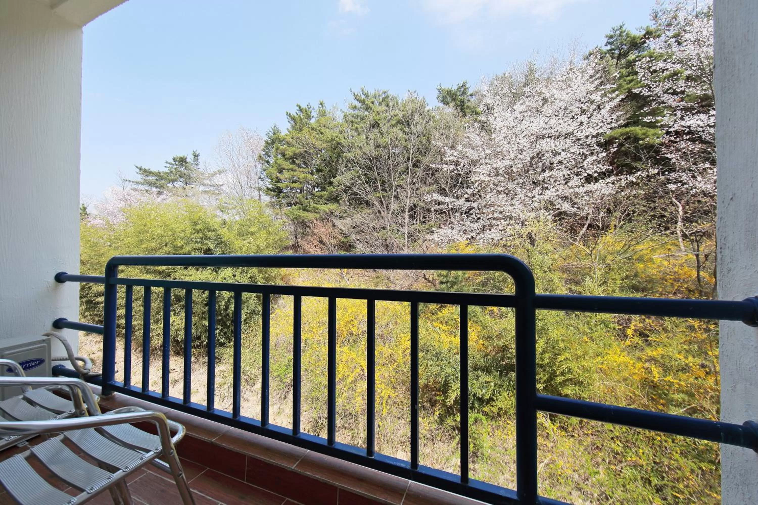 View (from property/room) in Benikea Swiss Rosen Hotel