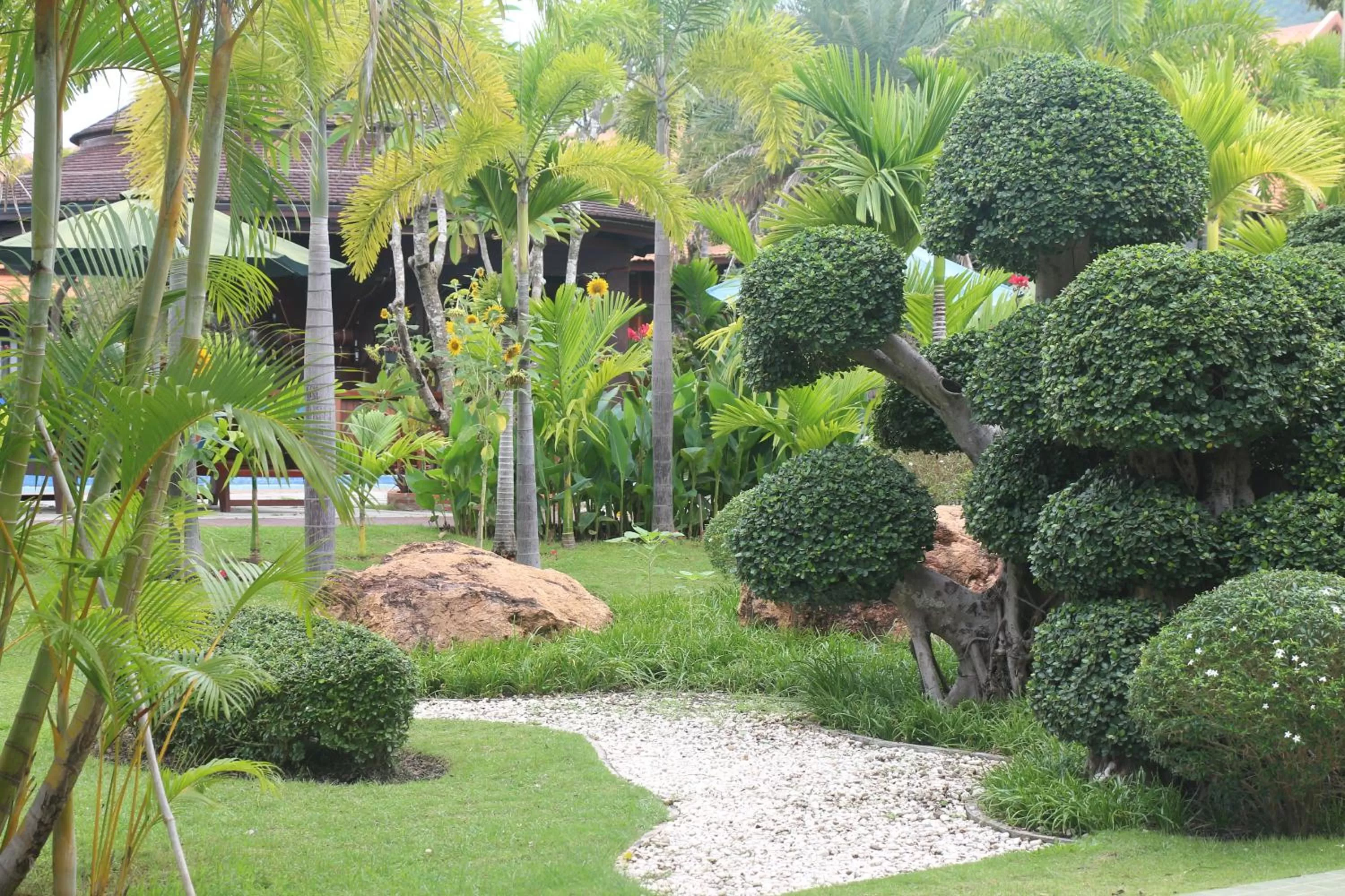 Garden view, Garden in Try Palace Resort-Kep