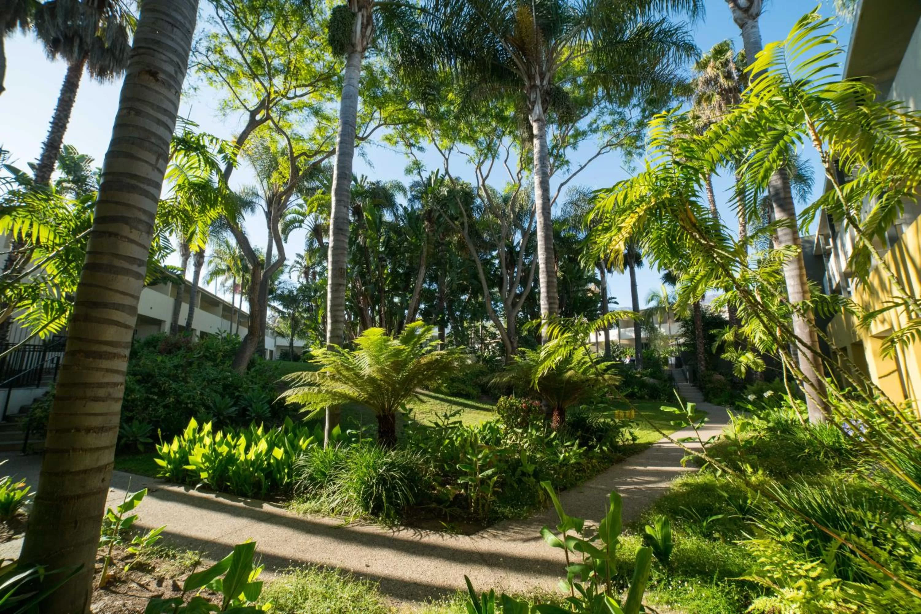 Natural landscape in Lemon Tree Inn