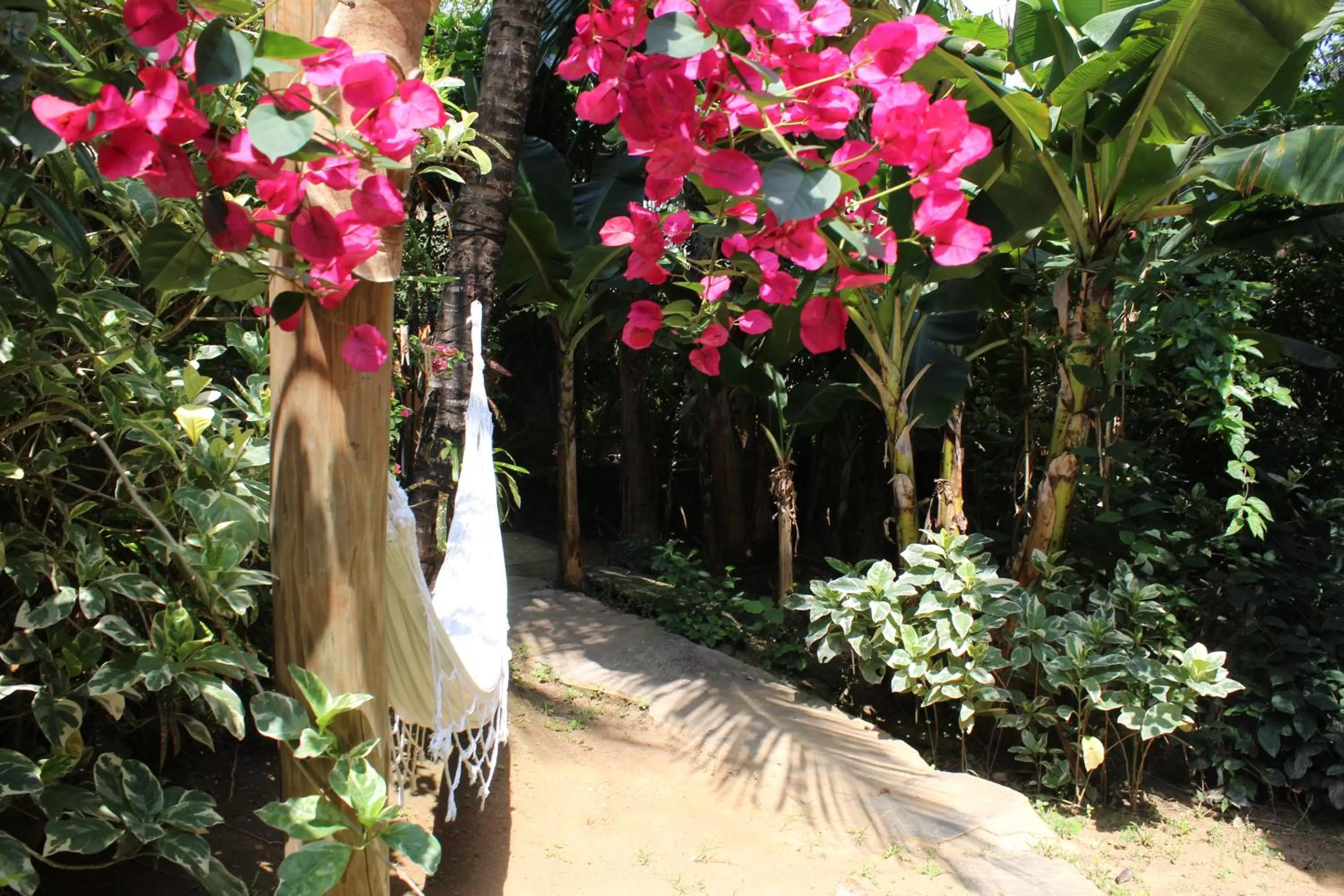 Garden in Pousada Afrika