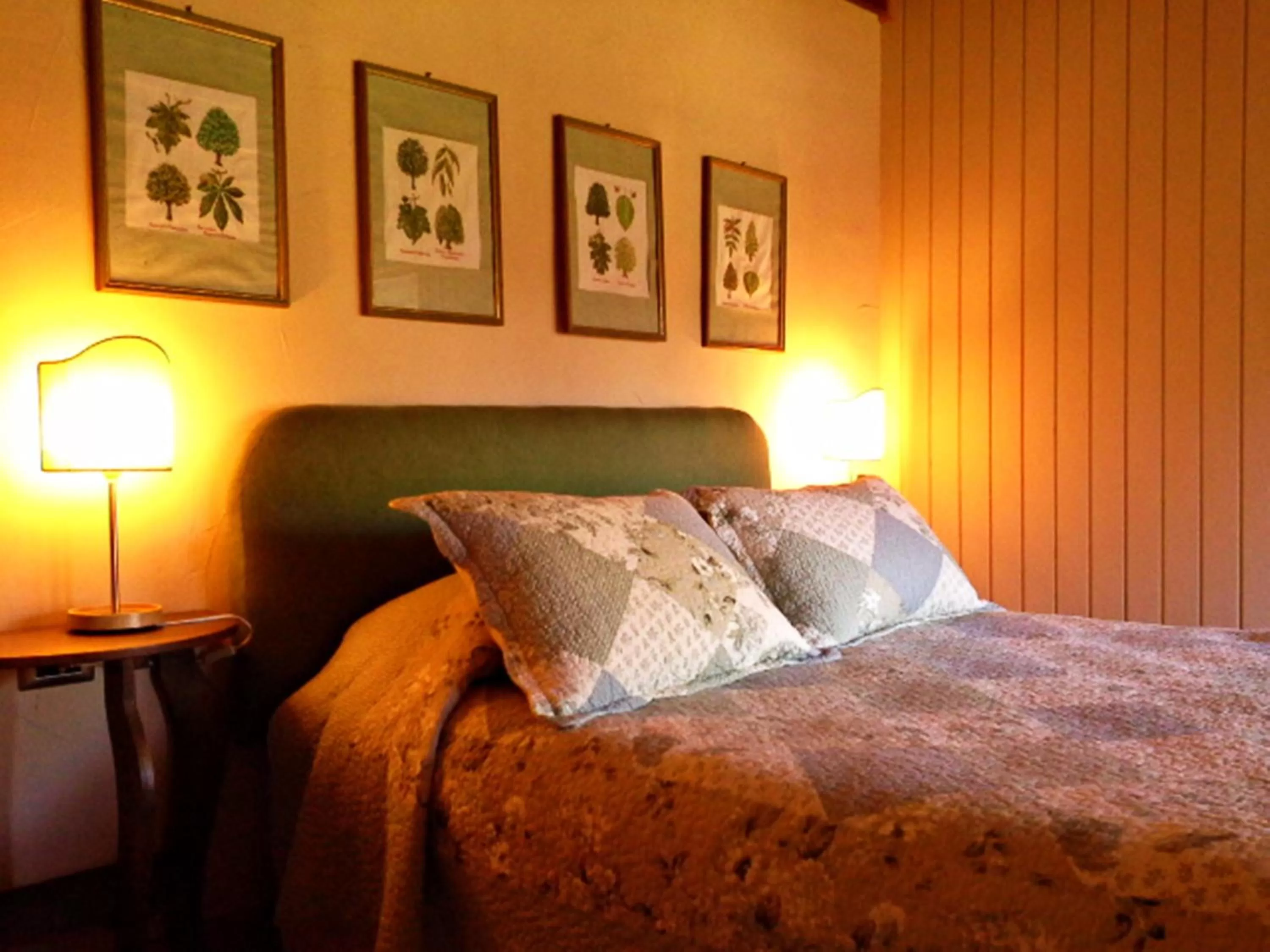 Bed in Hotel Salto del Carileufu