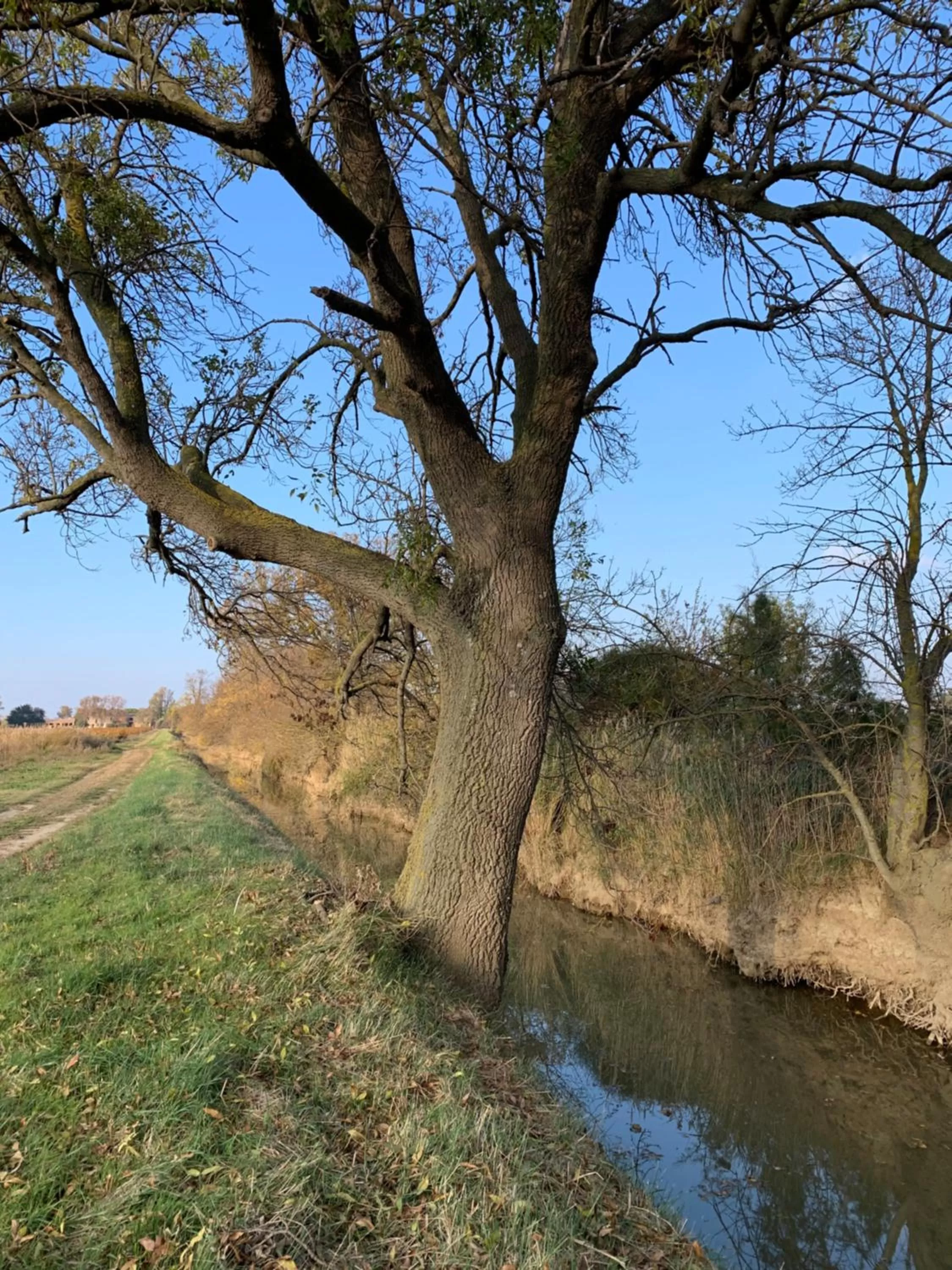 Off site in Le Jardin de LaCoste