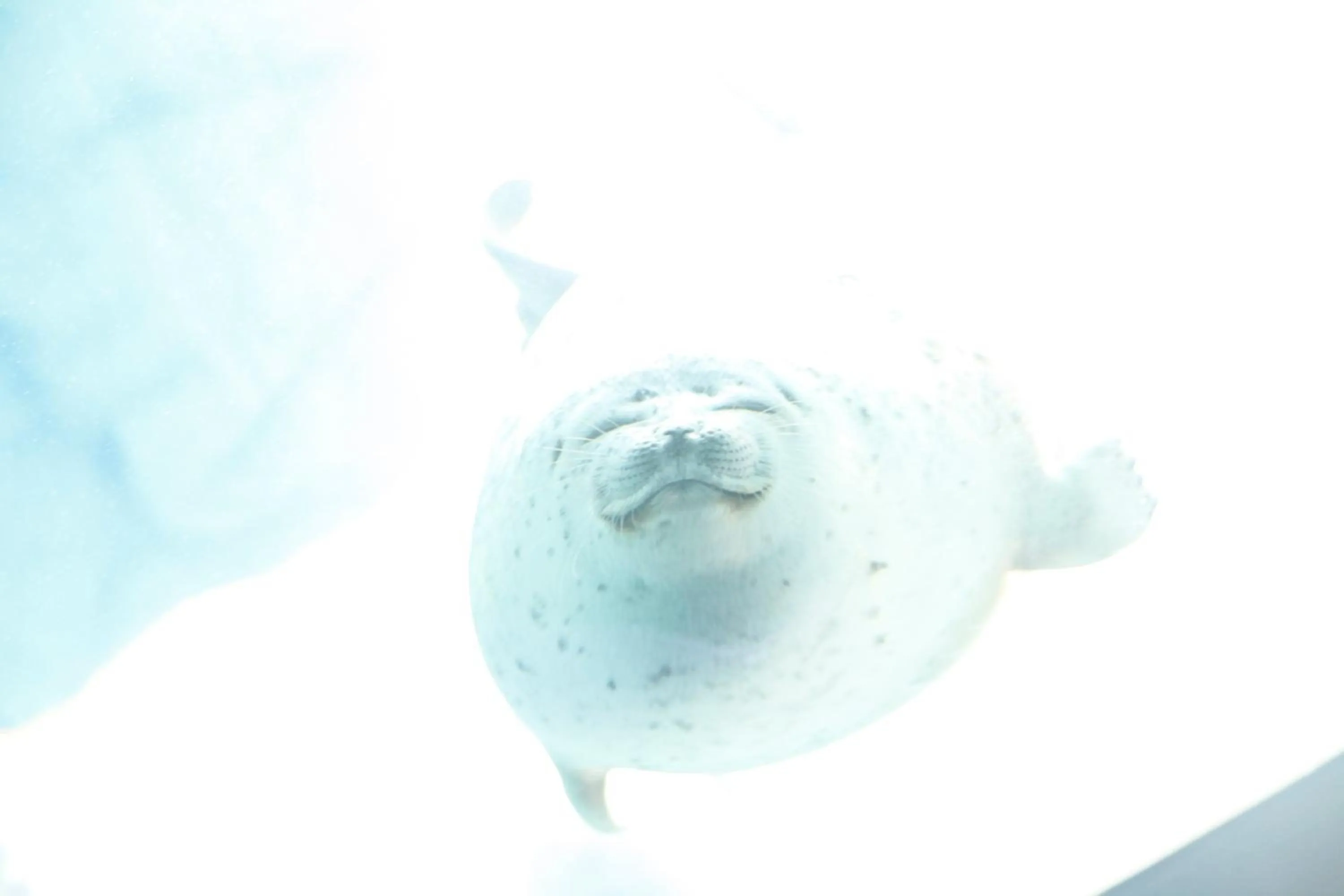 Nearby landmark in KOKO HOTEL Higashiosaka - formerly Hotel Wing International Select Higashi Osaka