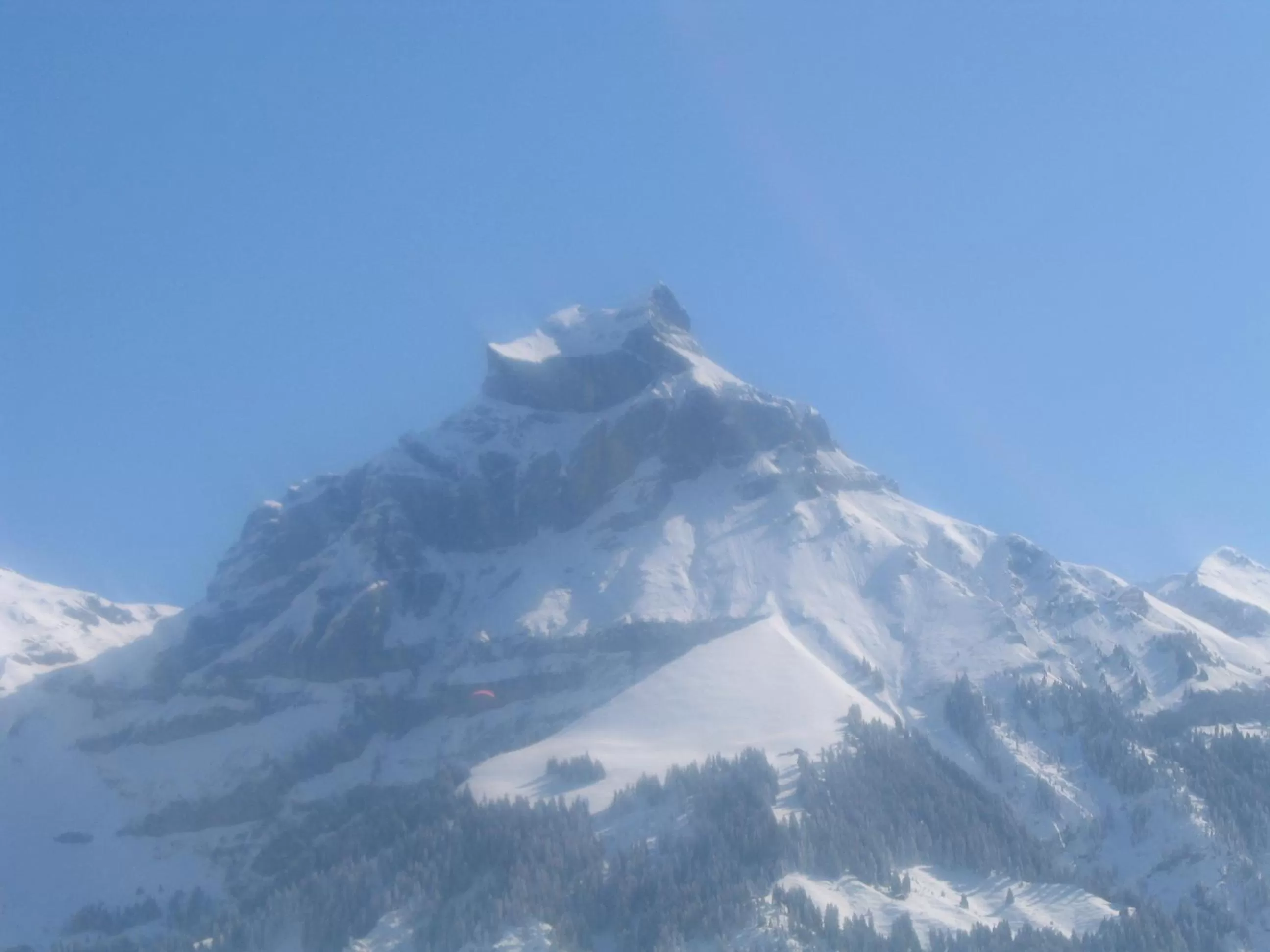 View (from property/room) in Hotel Belmont