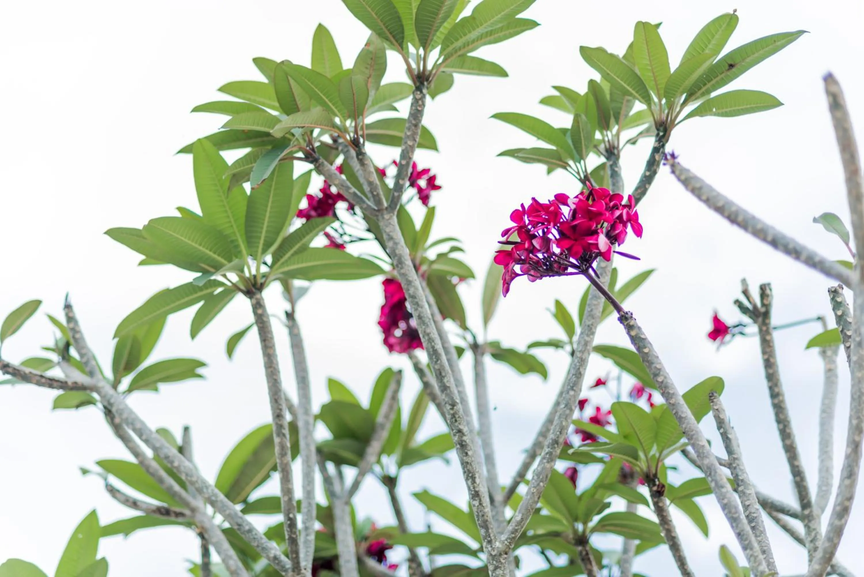 Bunk & Bilik Hotel Jalan Ipoh