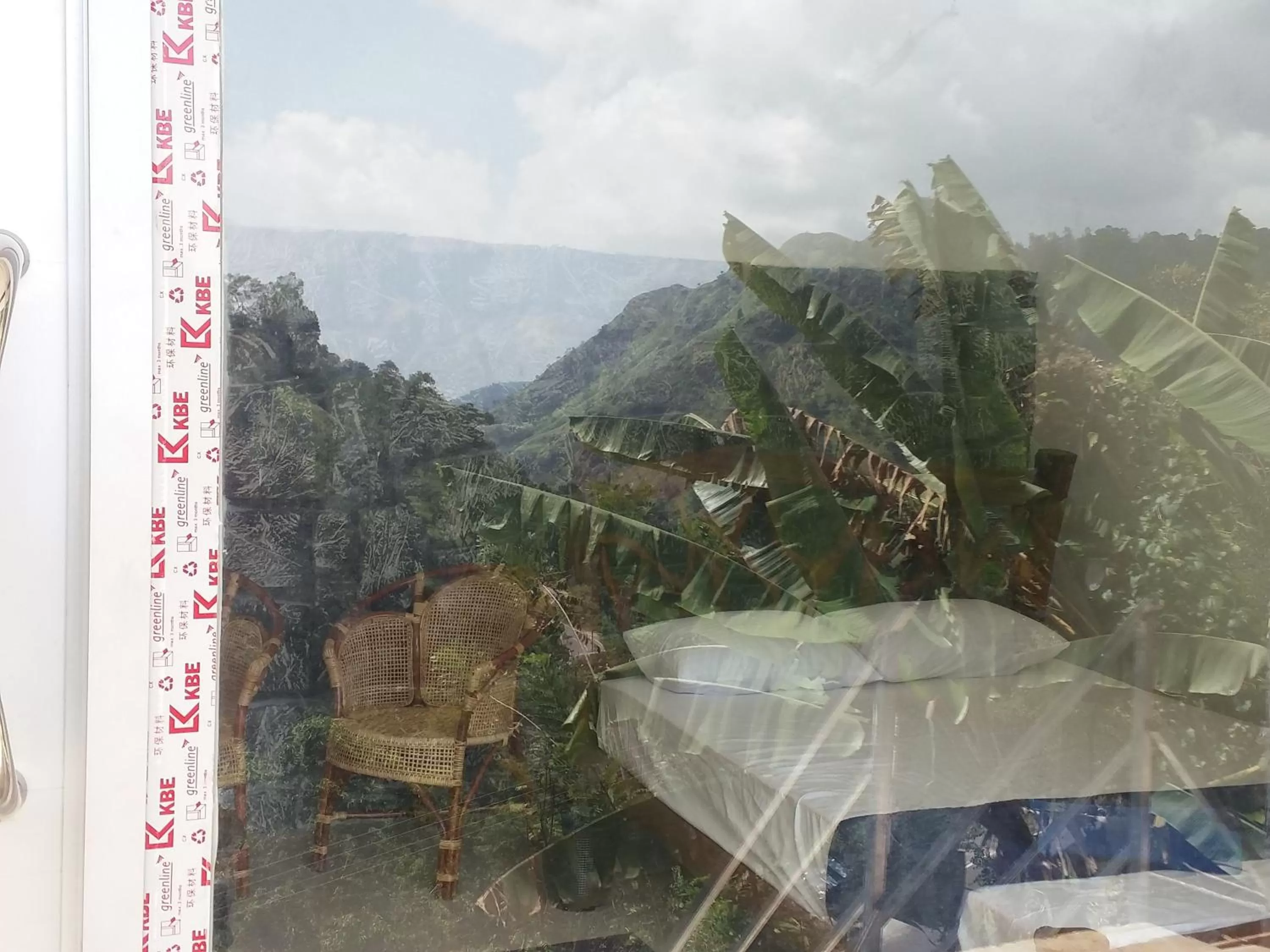 Ella Lucky Panoramic