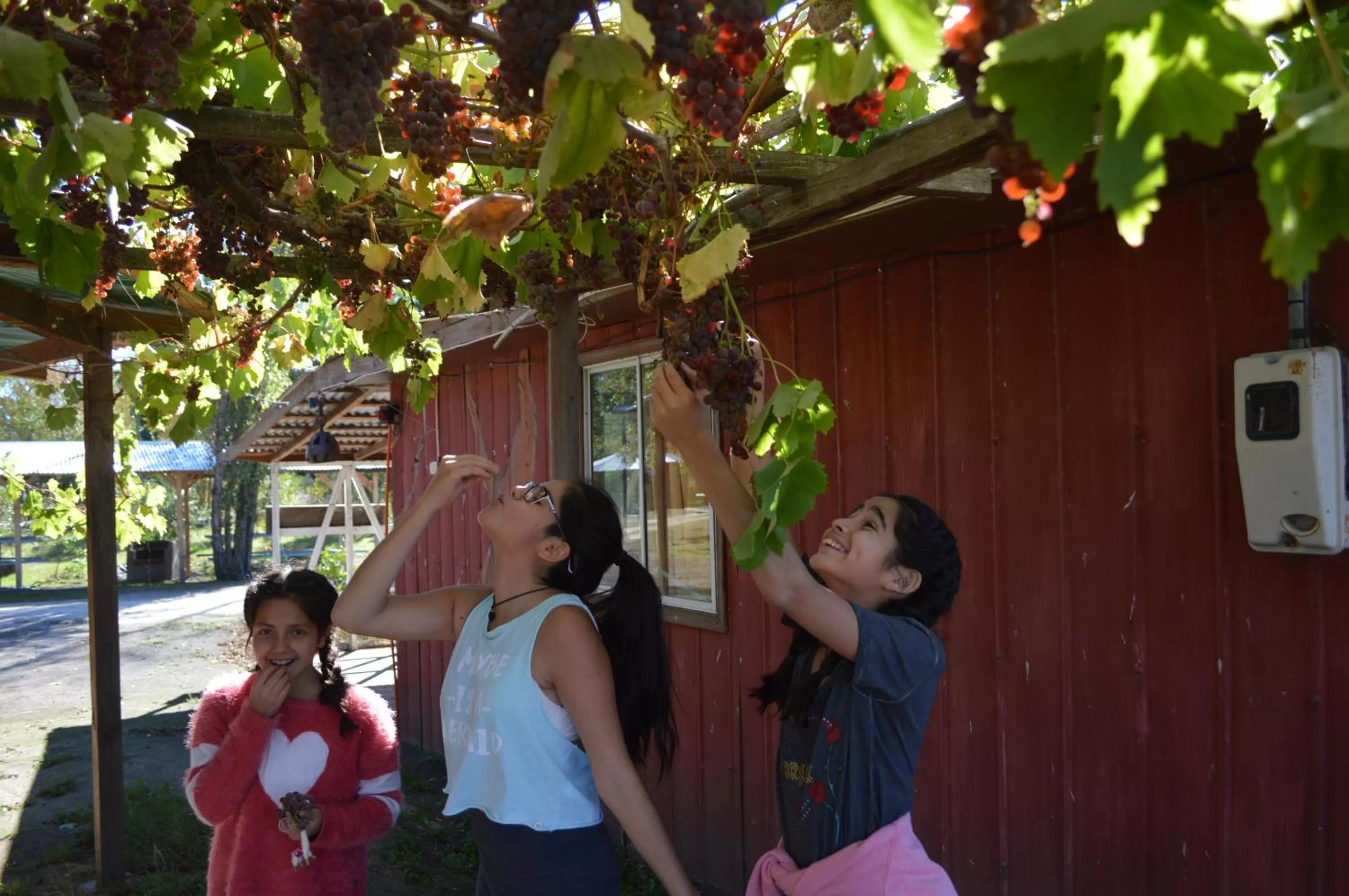 Coyunche Cabañas y Camping Laja & San Rosendo