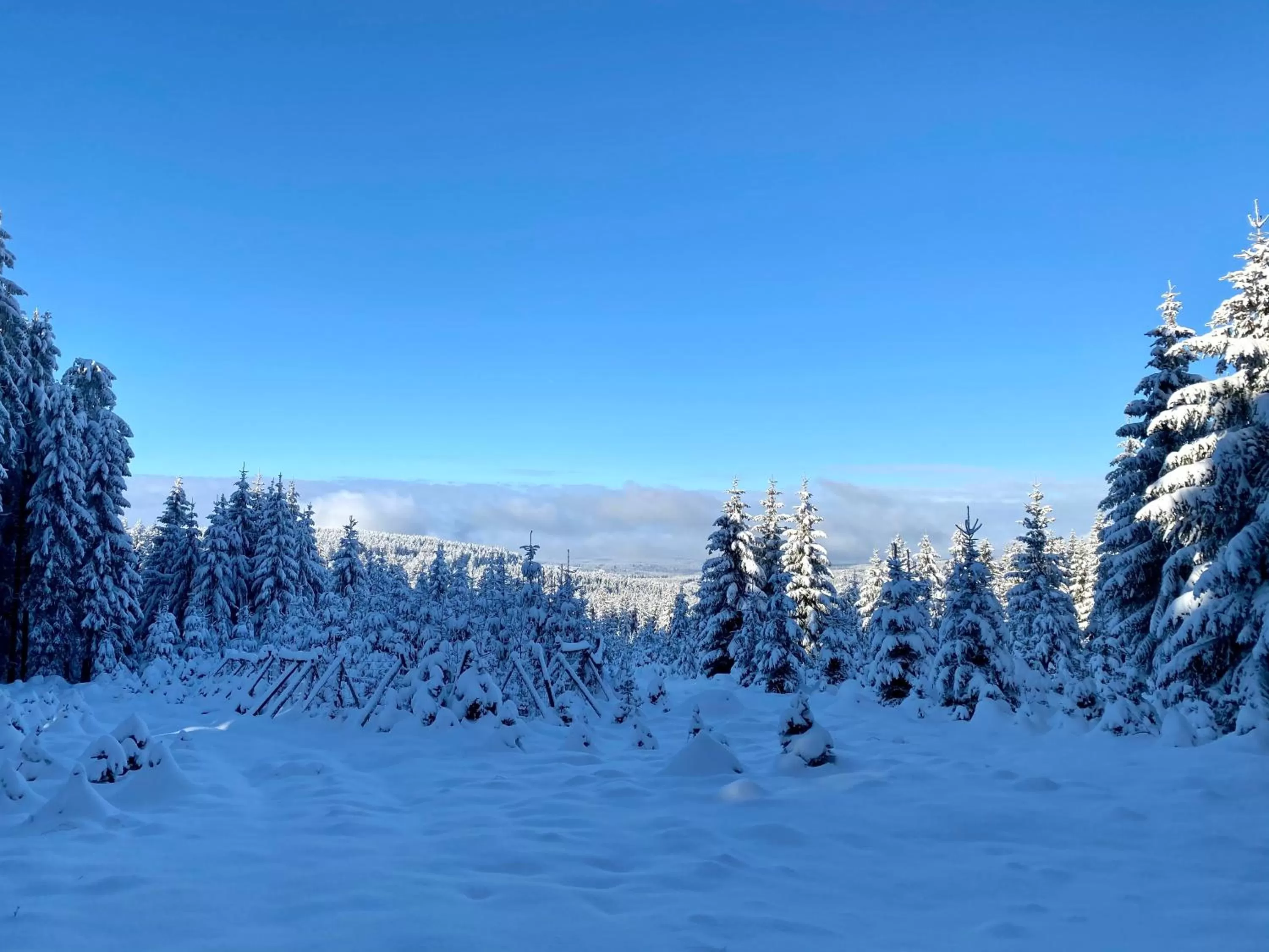 Natural landscape in Vila Jáchymov