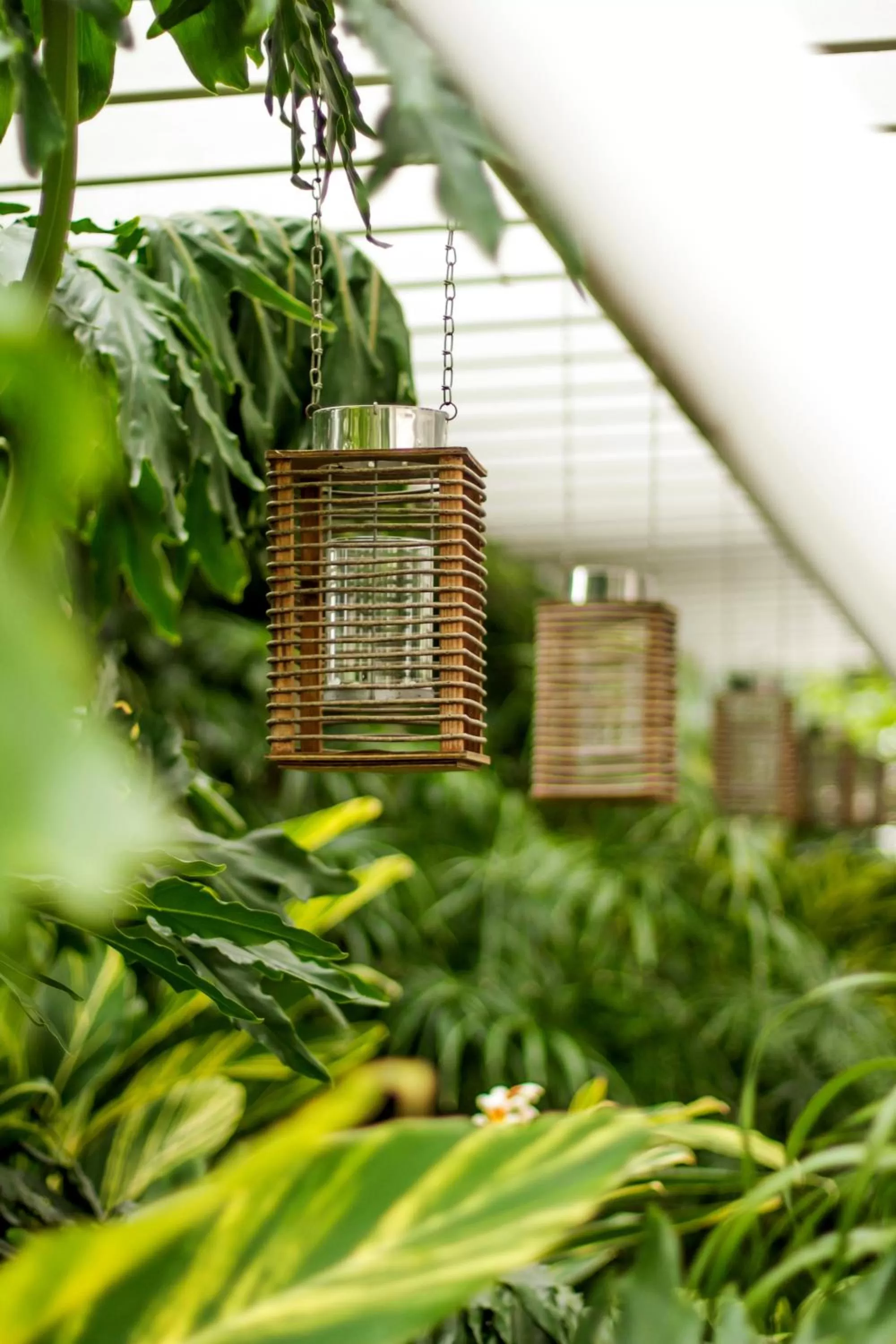 Garden in La Riviera Hotel