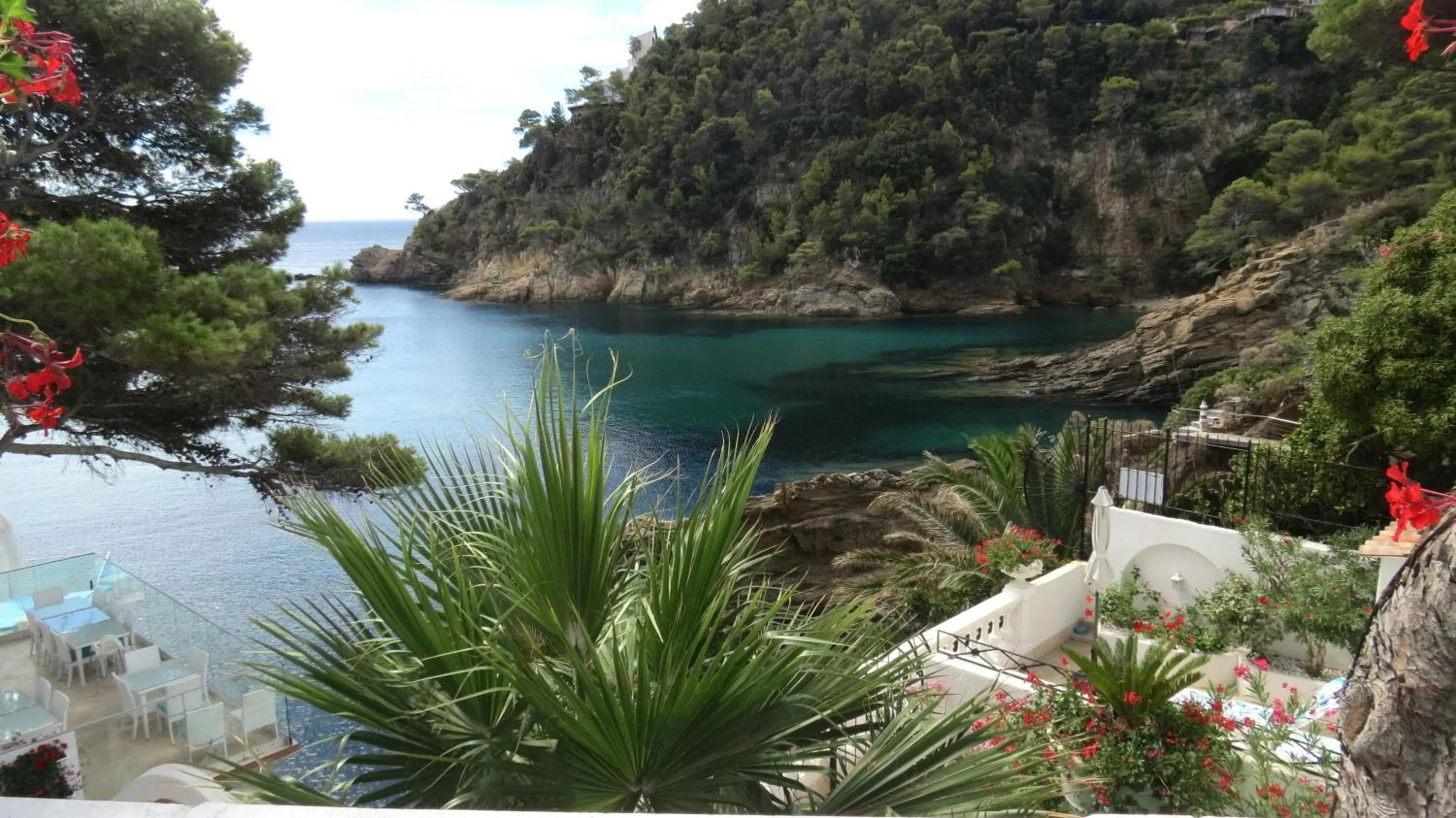 Natural landscape in Hotel La Calanque
