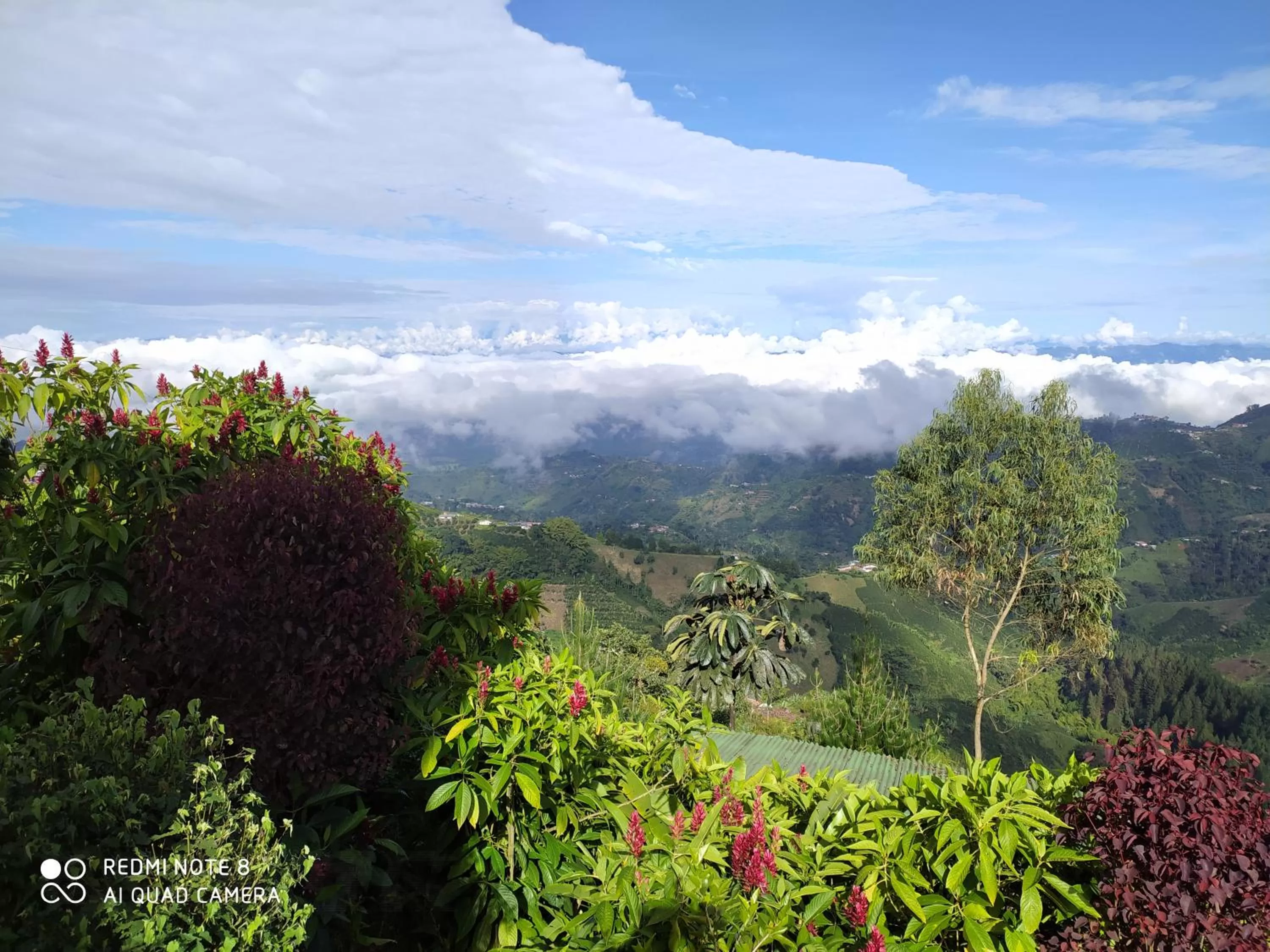 Mirador Finca Morrogacho