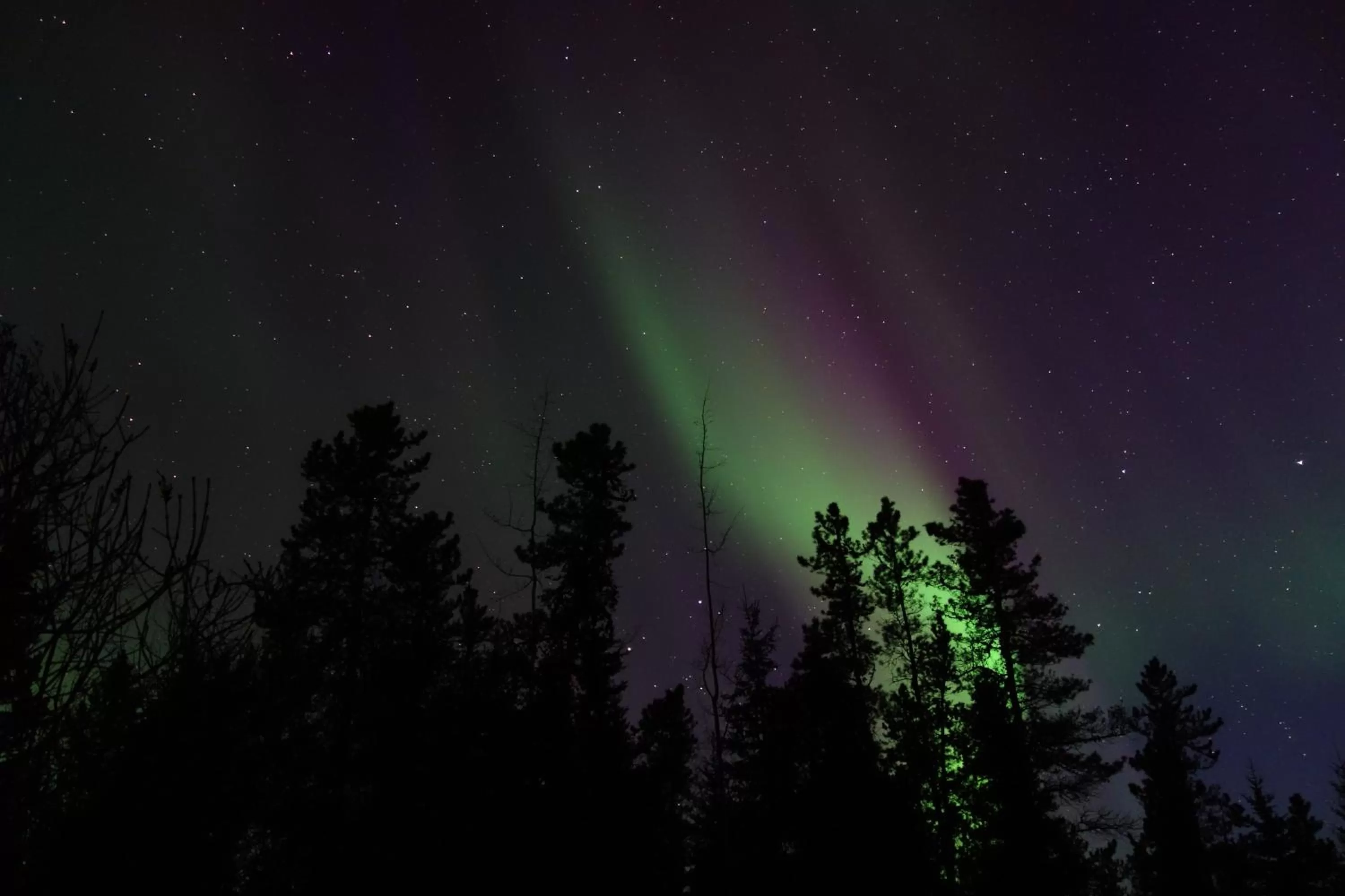 View (from property/room) in Hidden Valley Bed and Breakfast