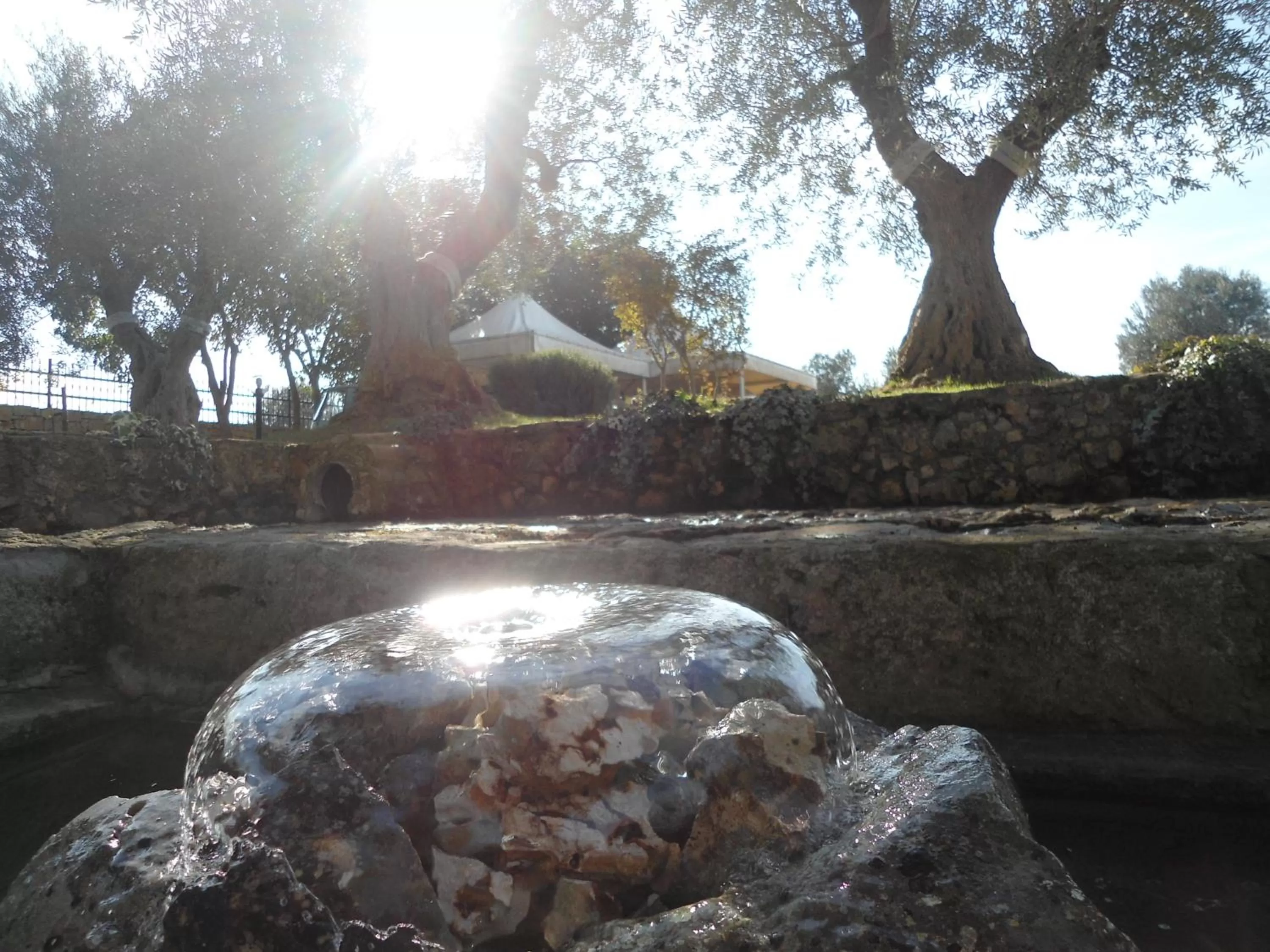 Natural landscape in Parco dei Manieri