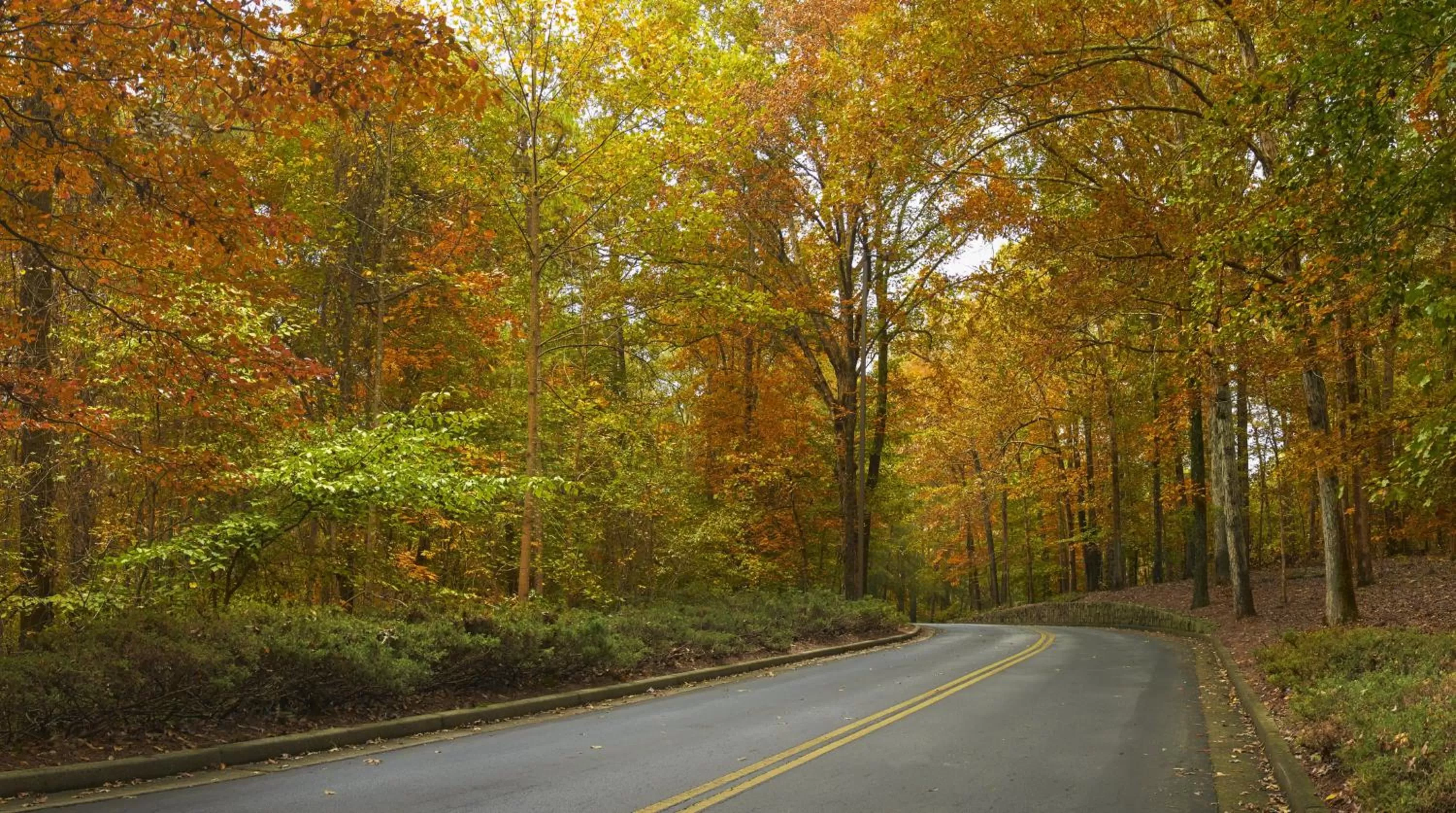 Street view in Atlanta Evergreen Lakeside Resort