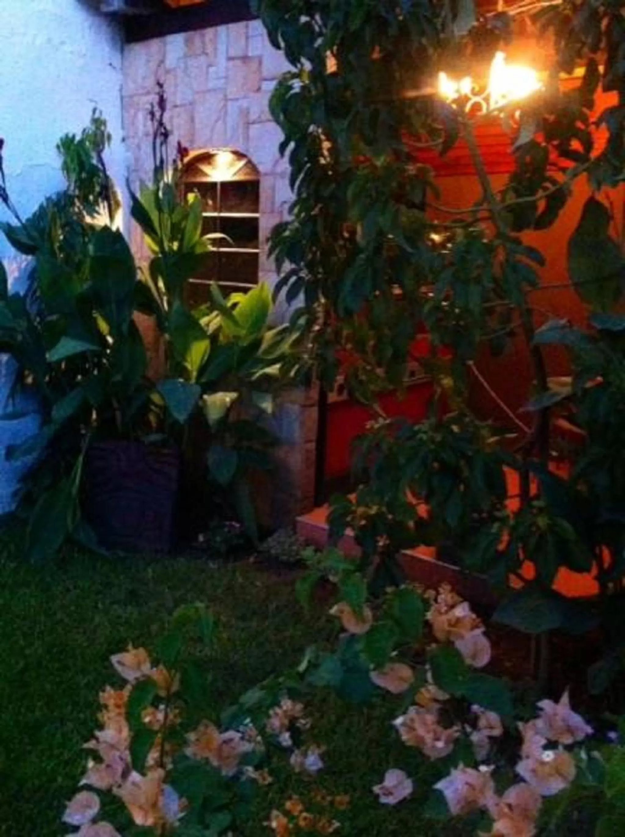 Garden in Hotel Caleta