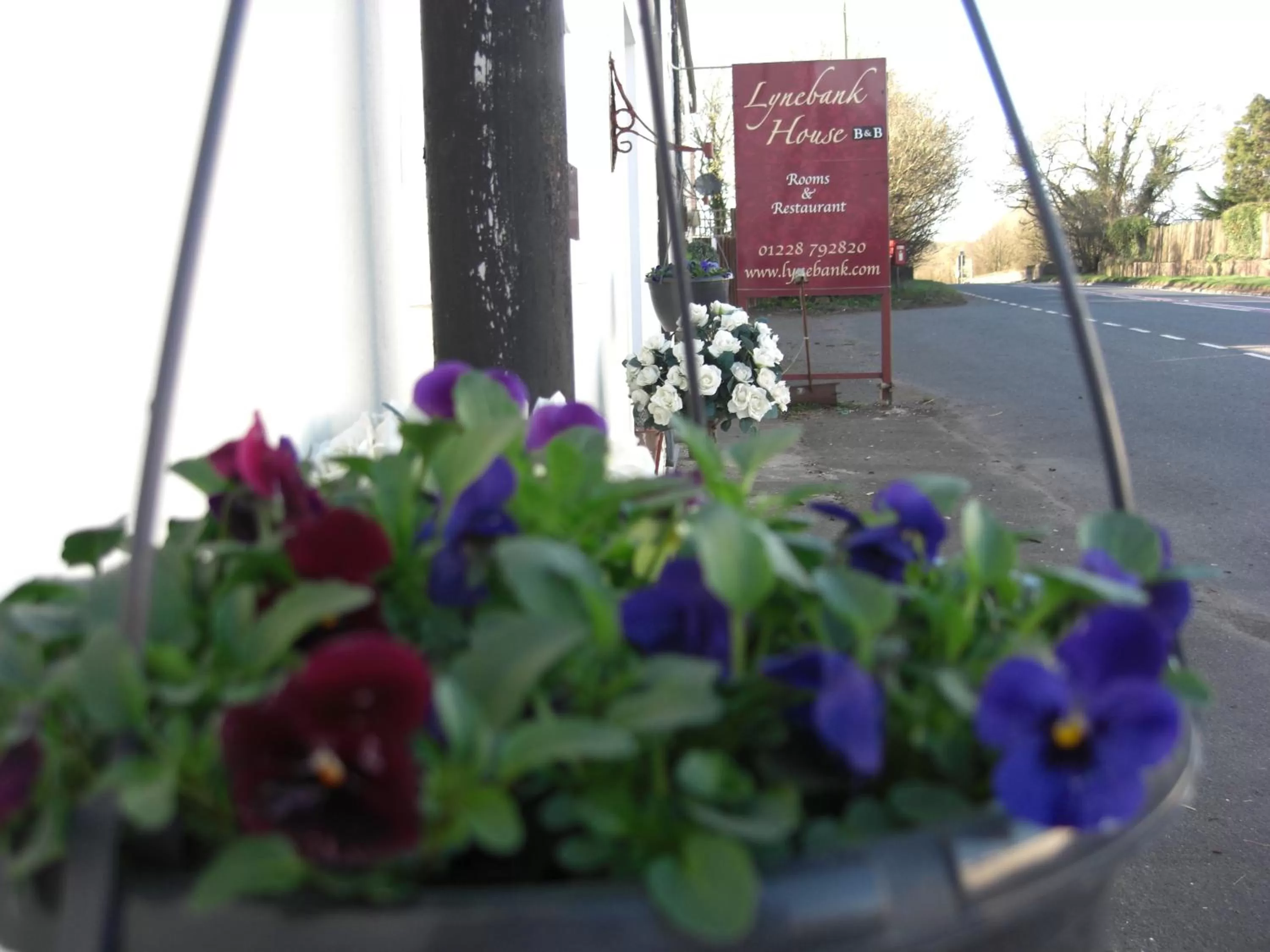 Property building in Lynebank House Hotel, Bed & Breakfast