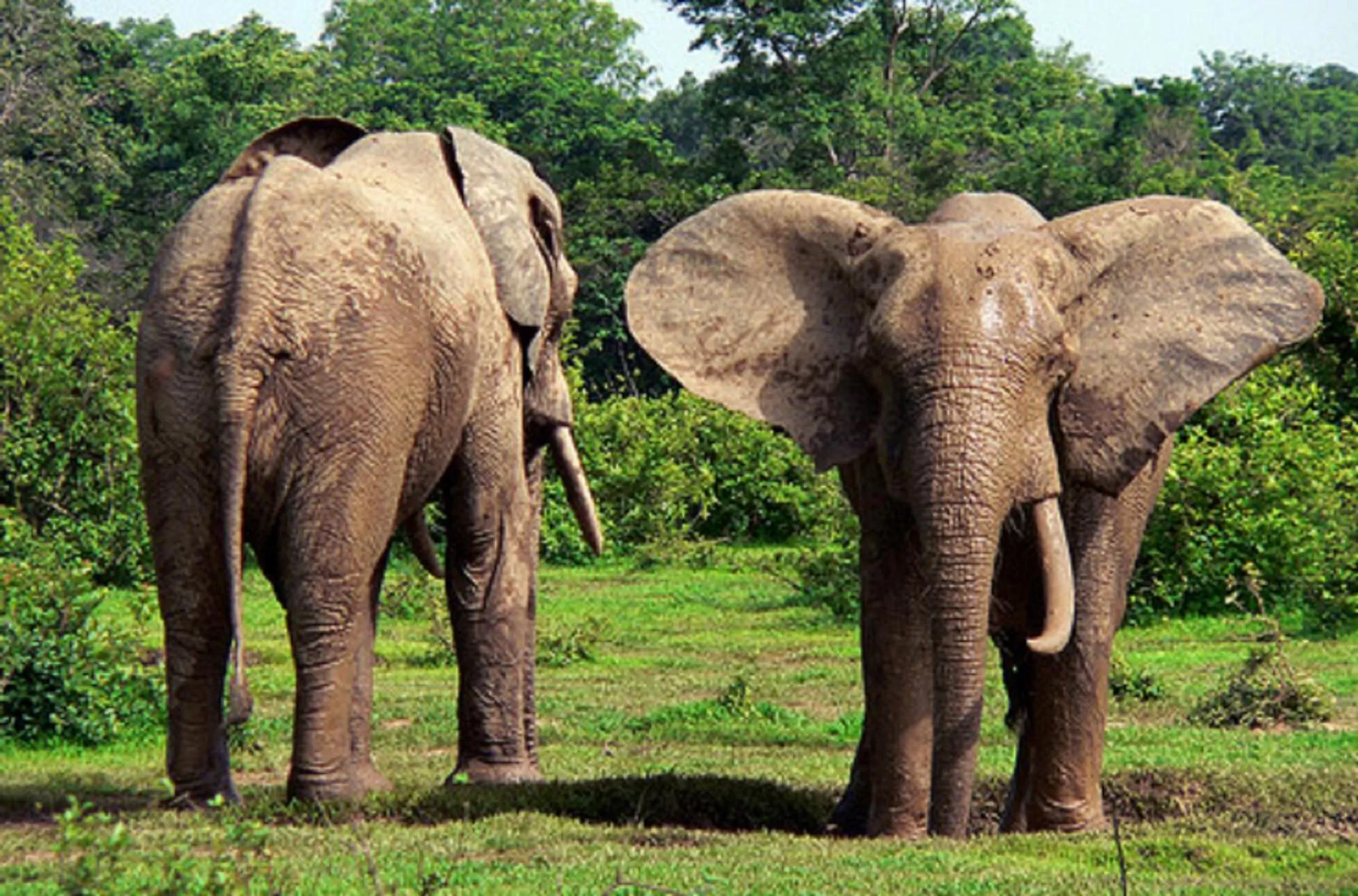 Nearby landmark in Marrets International Hotel - "Express"