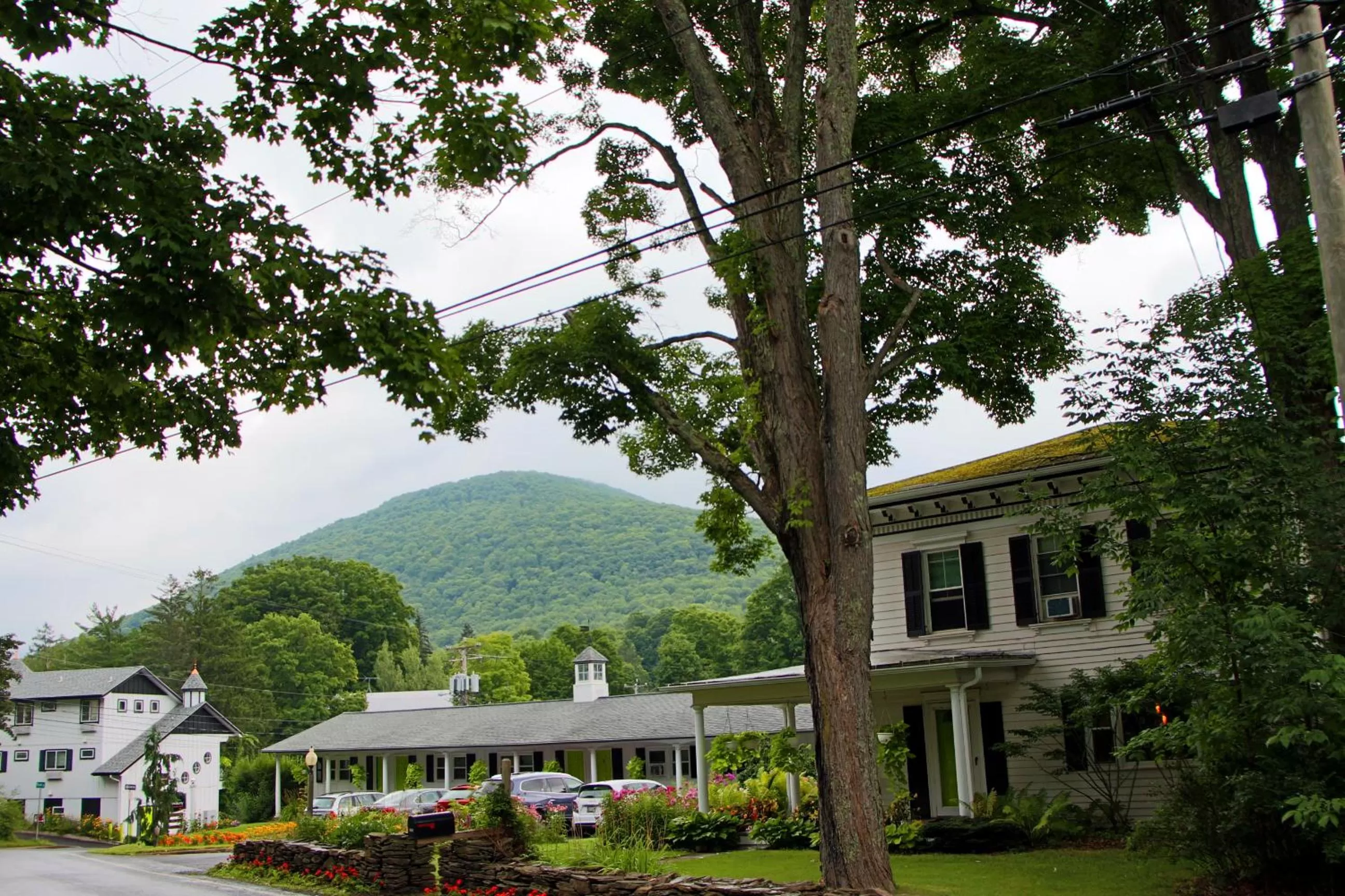 Mountain view in The Roxbury