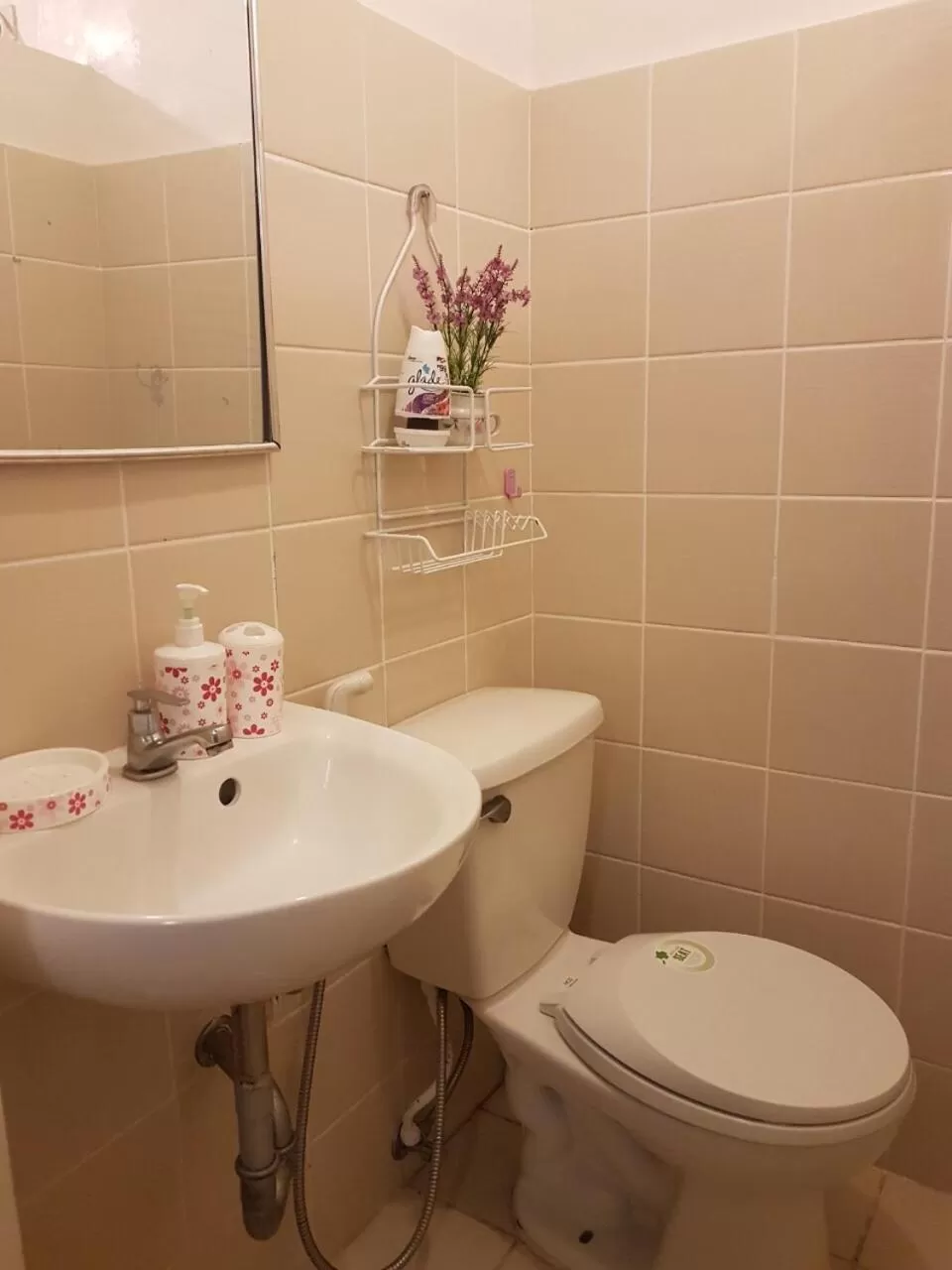 Toilet in Condo with Free Swimming Pool & Viewing Deck