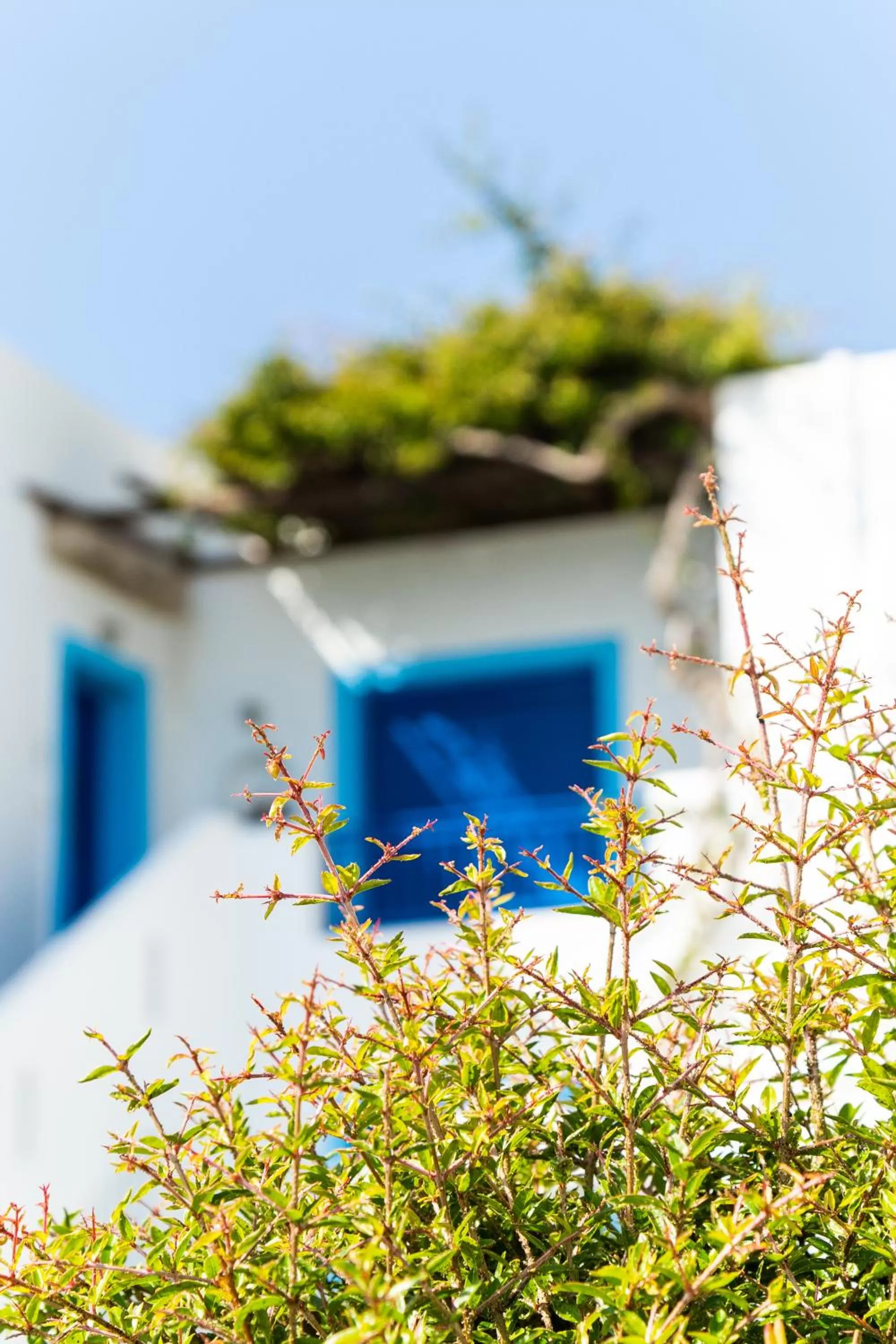 Facade/entrance in Bella Vista Stegna