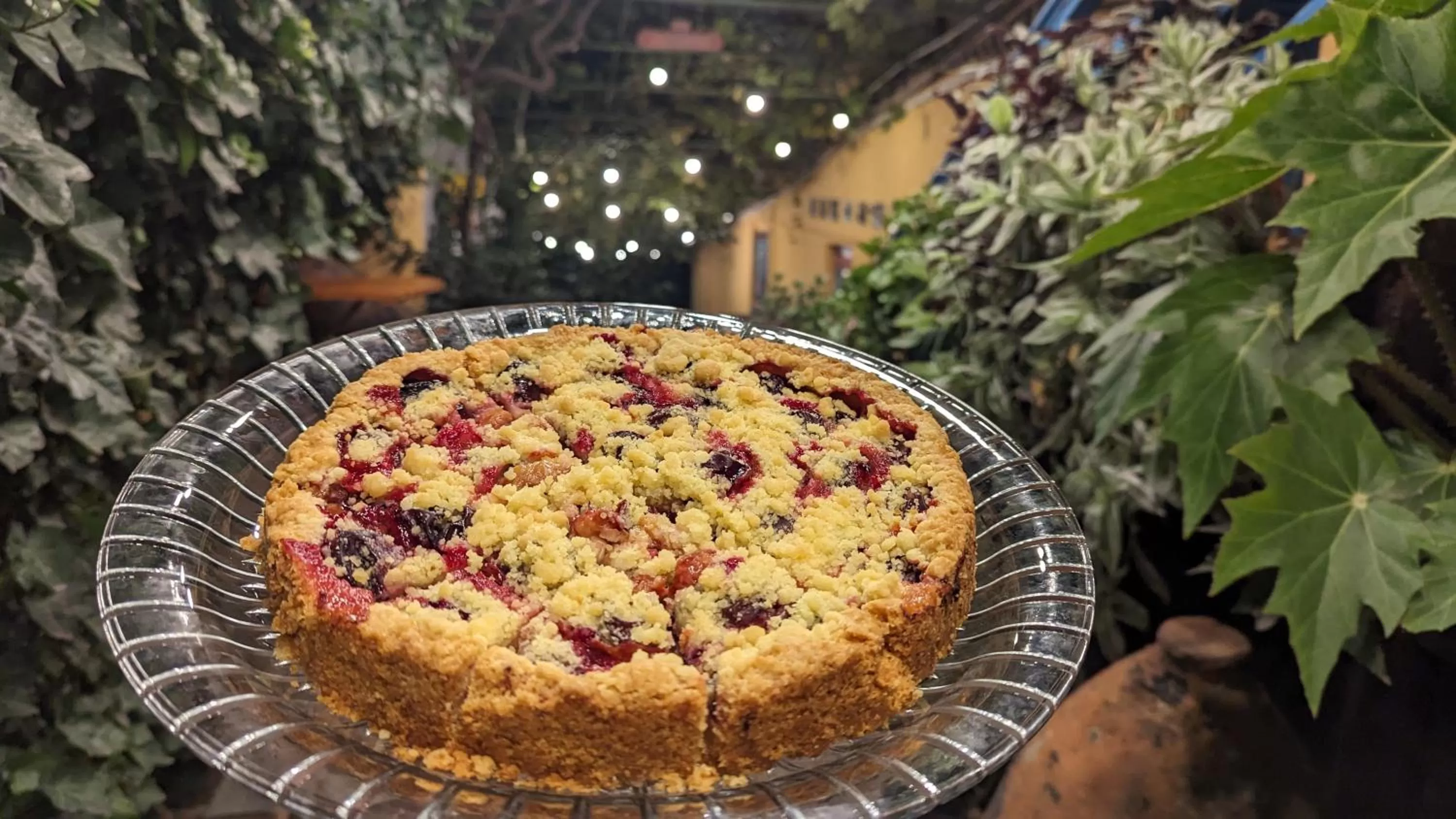 Garden, Food in Hotel Kartli