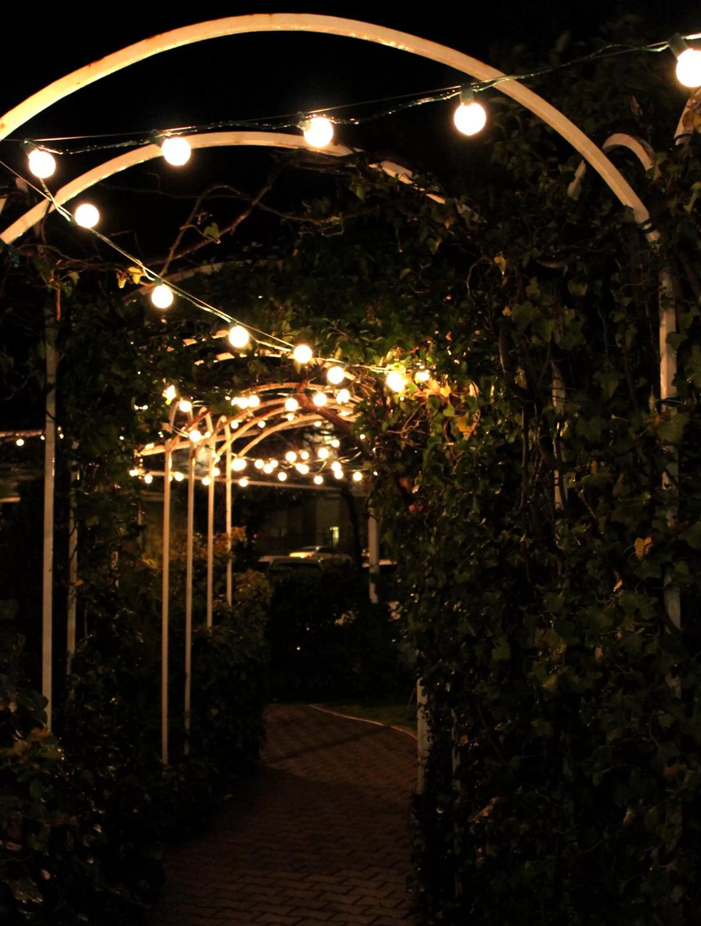 Garden in Forest Villas Hotel