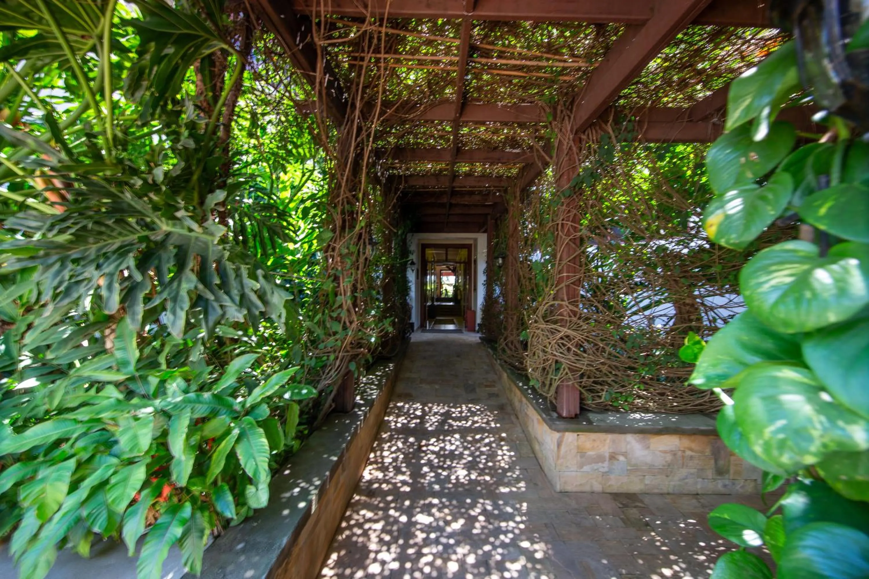 Garden in African Tulip Hotel