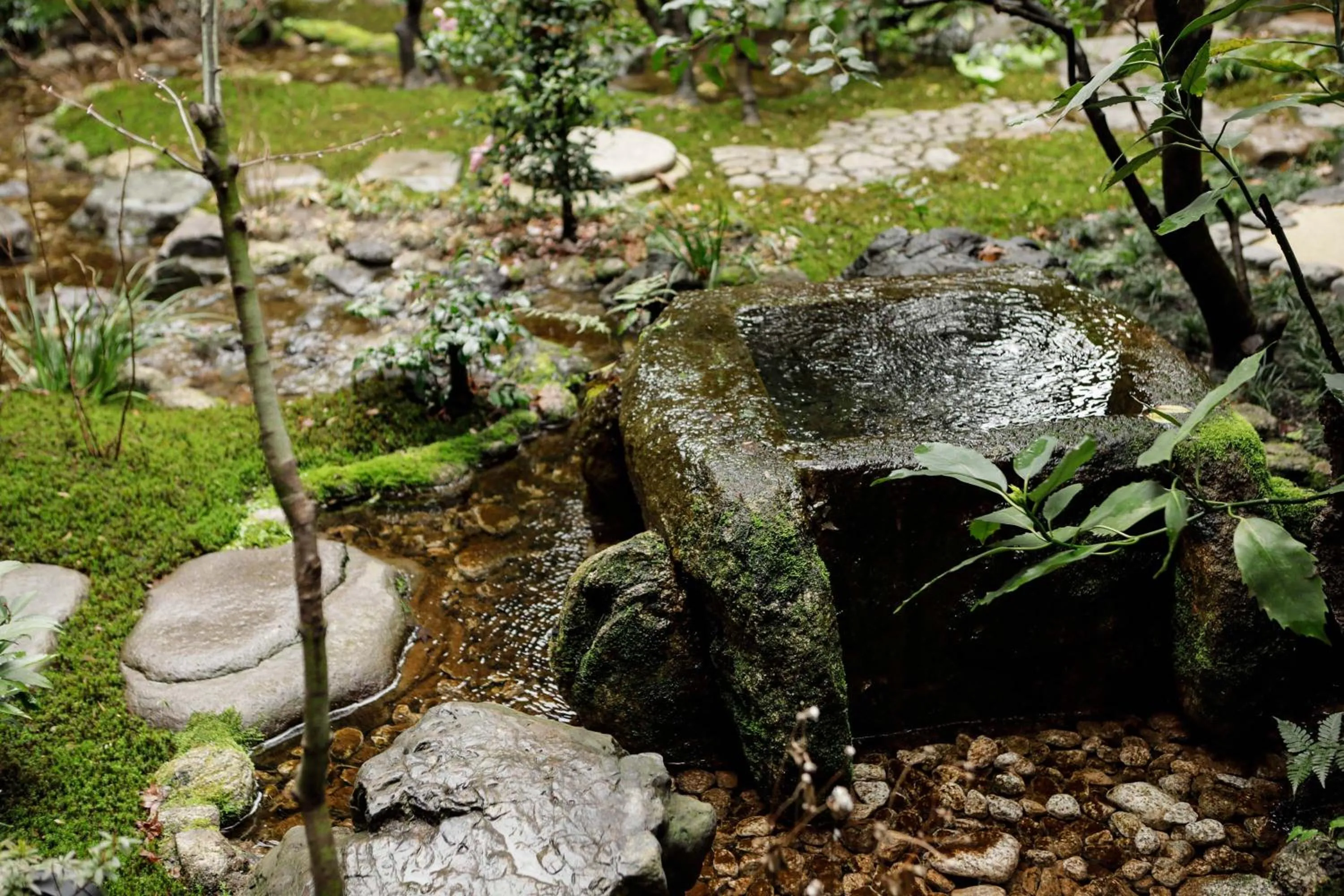 Area and facilities in Sowaka