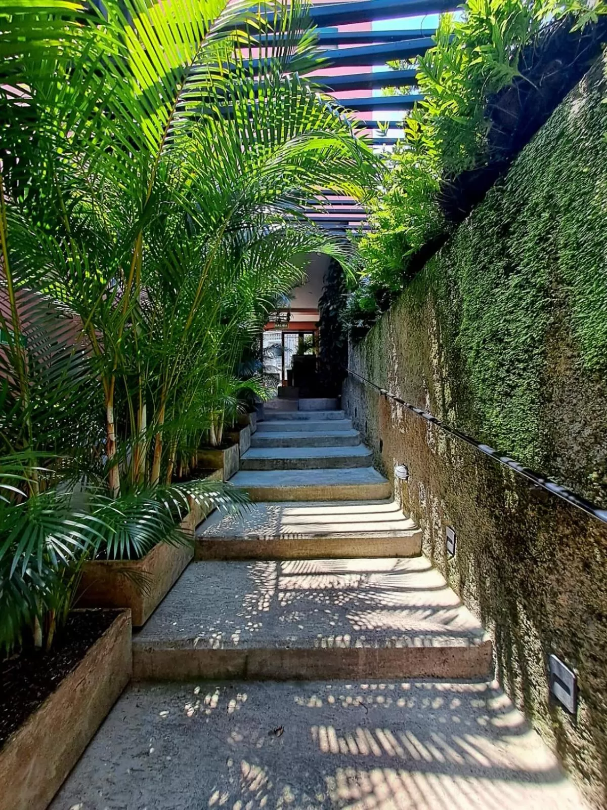 Garden in Rossa Palma