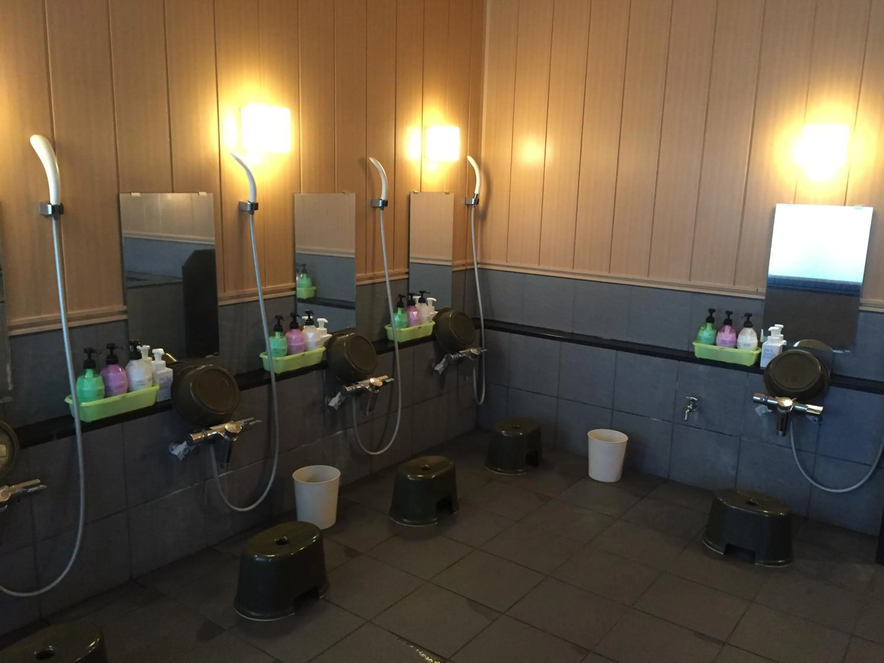 Public Bath in Hotel Crown Hills Toyokawa