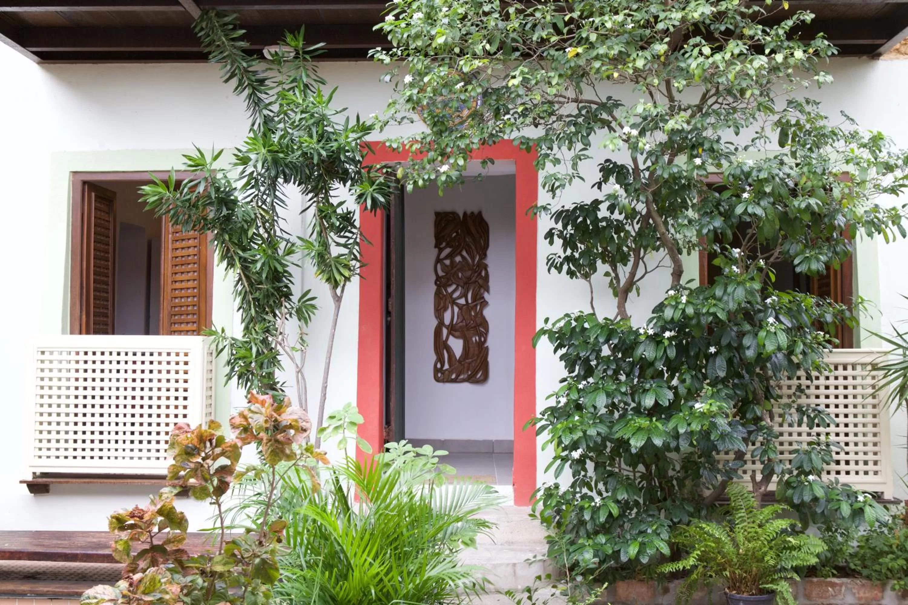 Garden in Irradiante