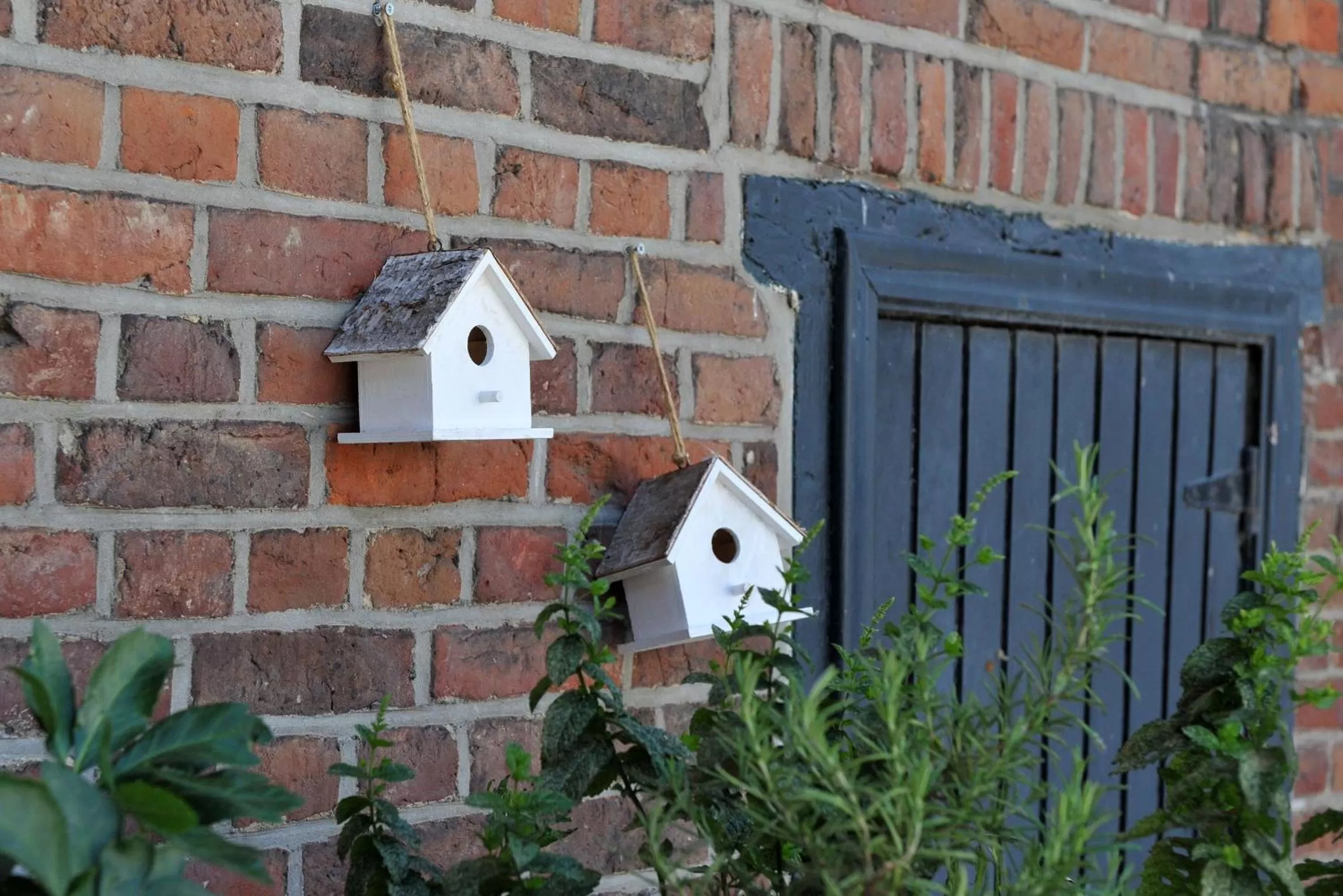 Decorative detail, BBQ Facilities in B&B Het Vuchterhof