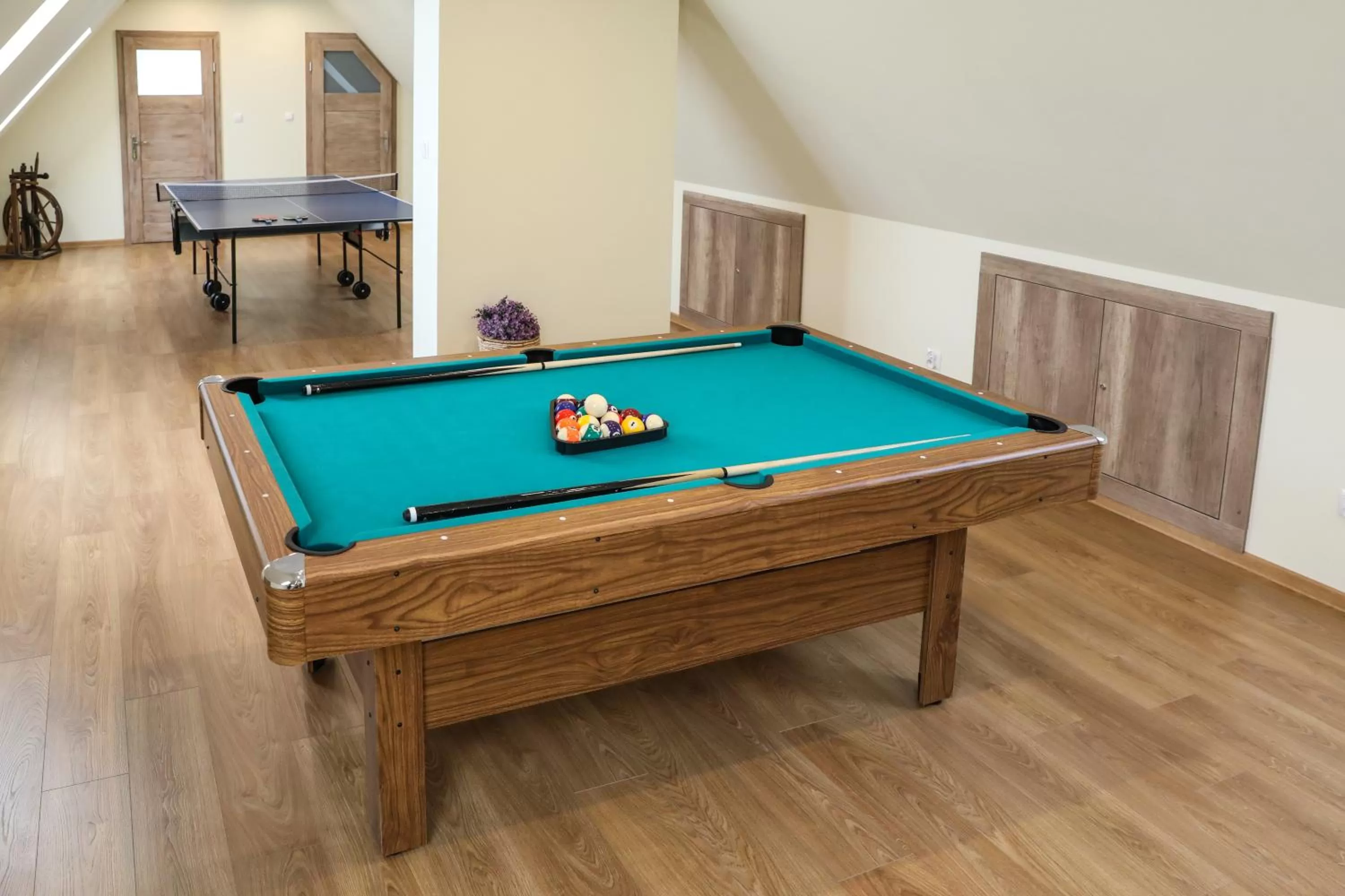 Billiards in Villa Kasper